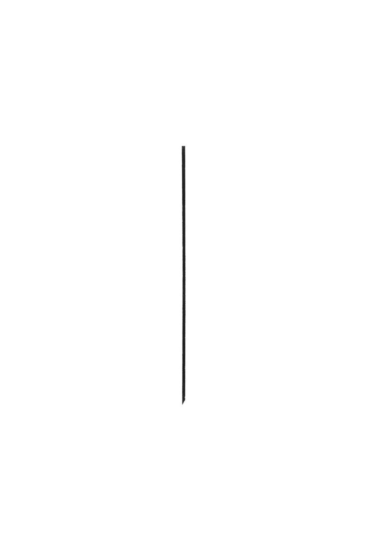 Shiseido-Microliner Ink Eyeliner Matte Eyeliner with Micro Fine Tips, Lasts up to 24 Hours 0.4 ml 2