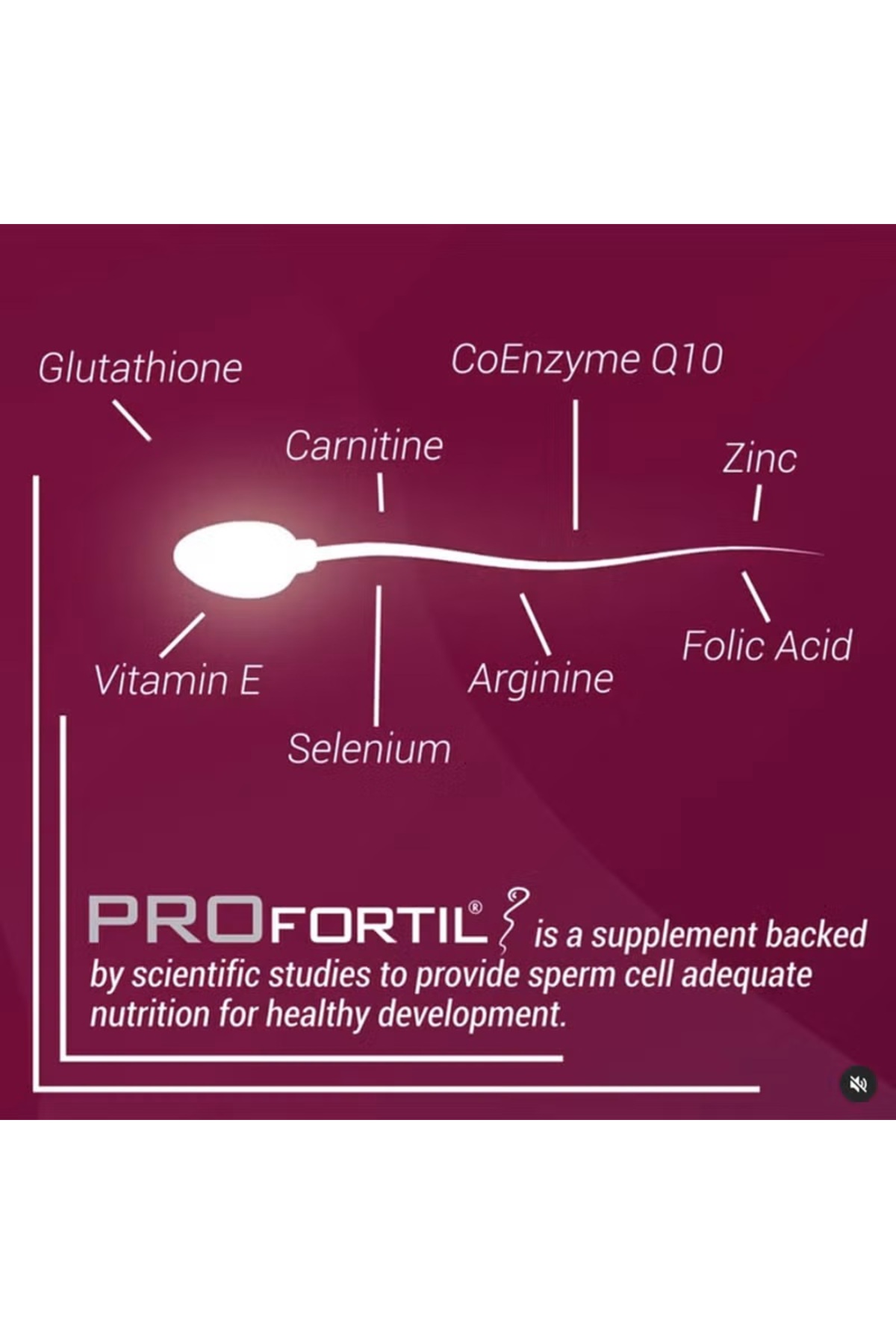PRO FERTİL Profertil Capsules 60'S- Trendyol