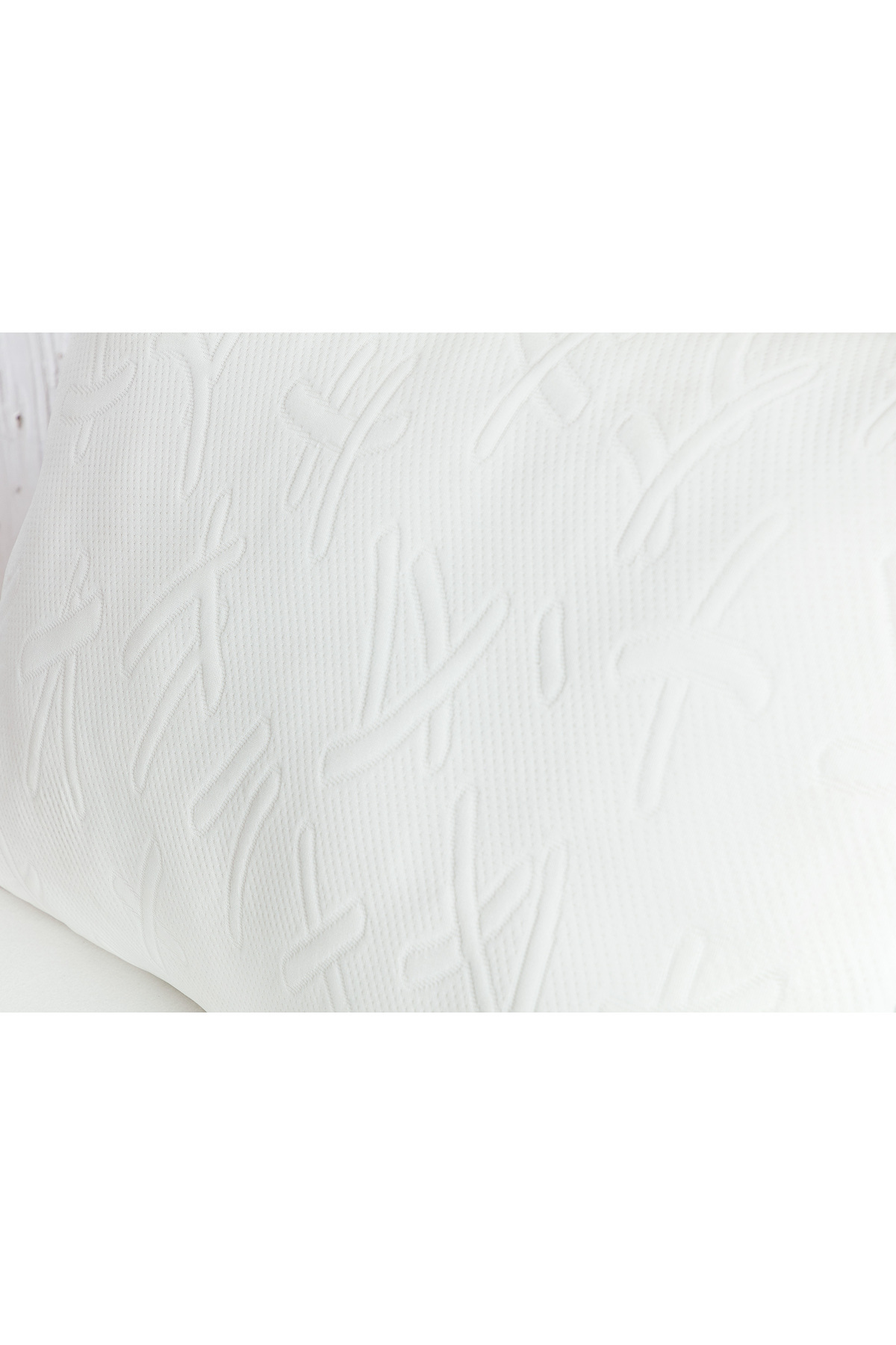 Madame Coco-Elodie K.Visco Pillow 4