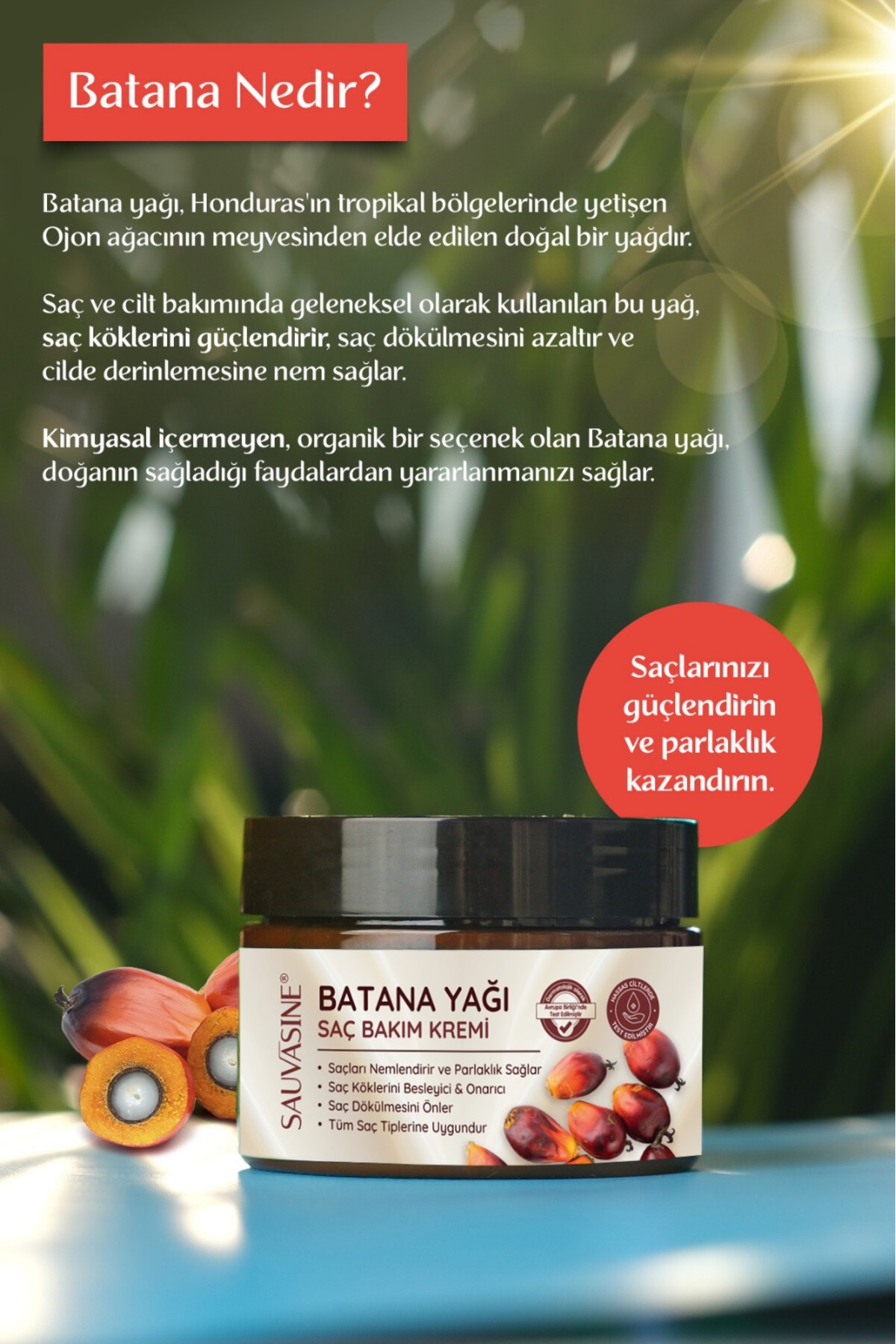 Batana Oil (Batana Yağı) Saç Bakım Kremi 120 ml | Organik Batana Yağı & Kolajen Destekli — BTSBYK120 — تصویر 5 از 8