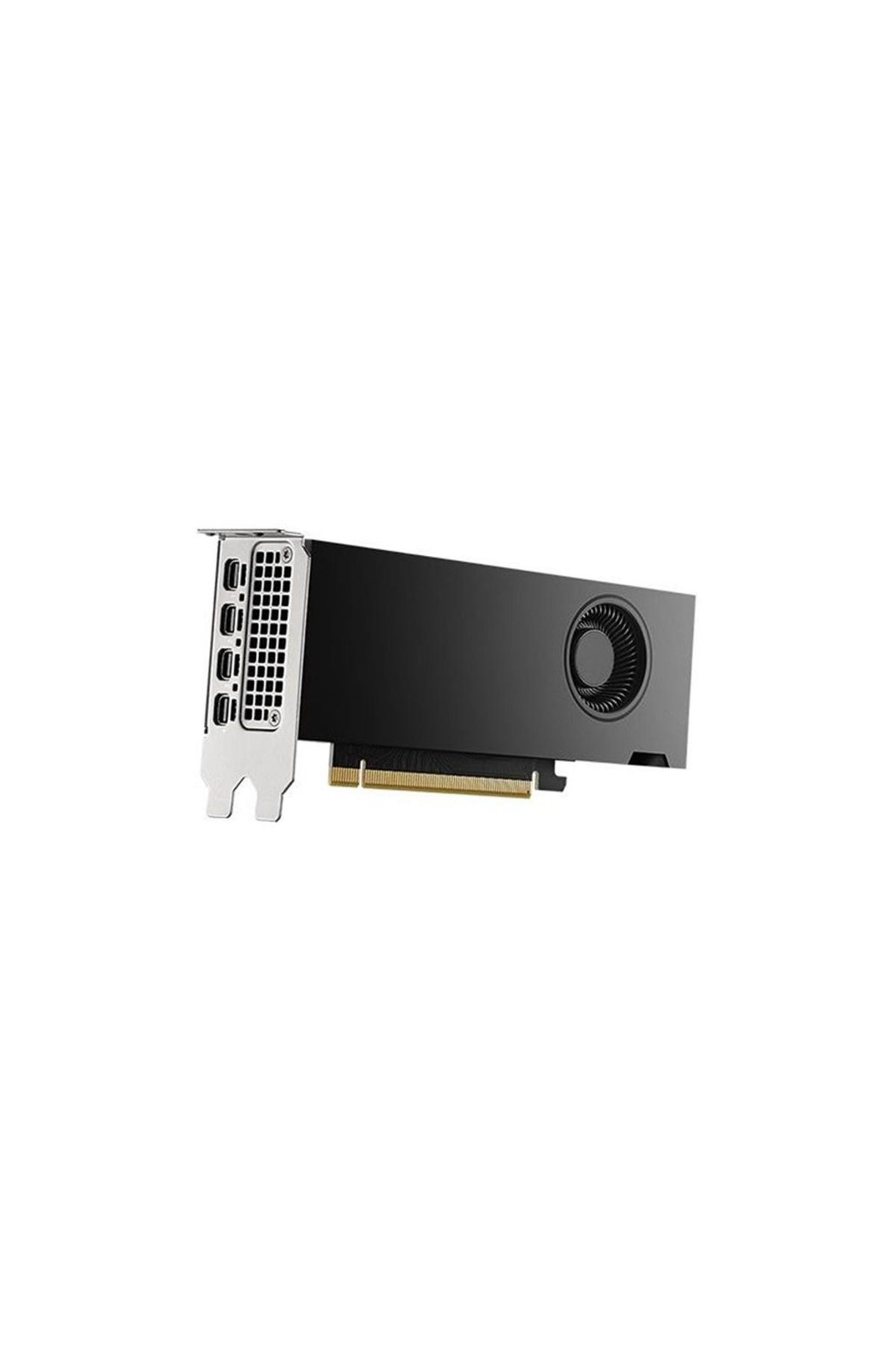 PNY QUADRO-Vcnrtx2000Ada-Sb, Rtx2000 Ada, 16Gb, Ddr6, 128Bit, Single Fan, 4Xdp, Graphics Card 1