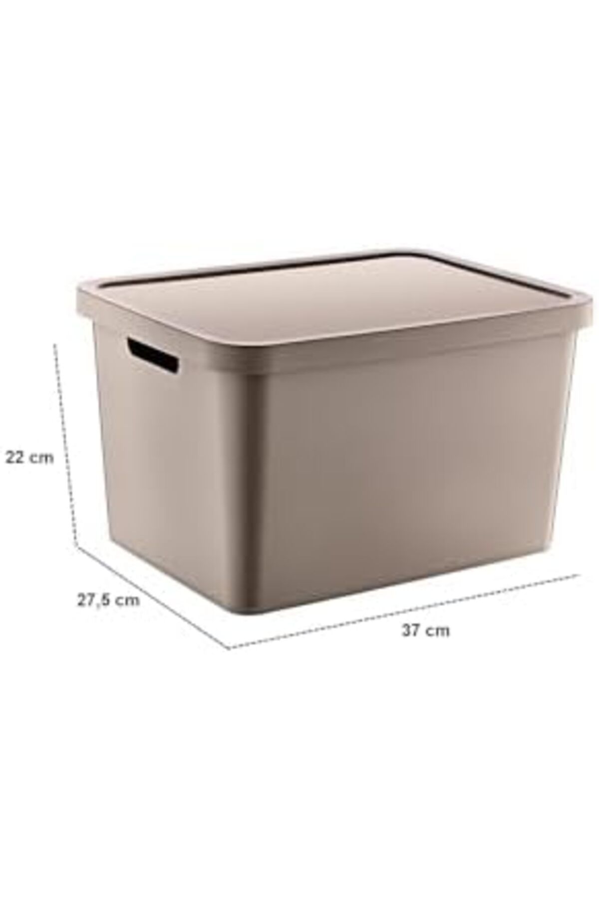 Mena Rise-Şirinshop Set of 4 Stafi Multi-Purpose Box with Lid Terra 18 Lt - Beige, Multi-Purpose Box with Lid 2