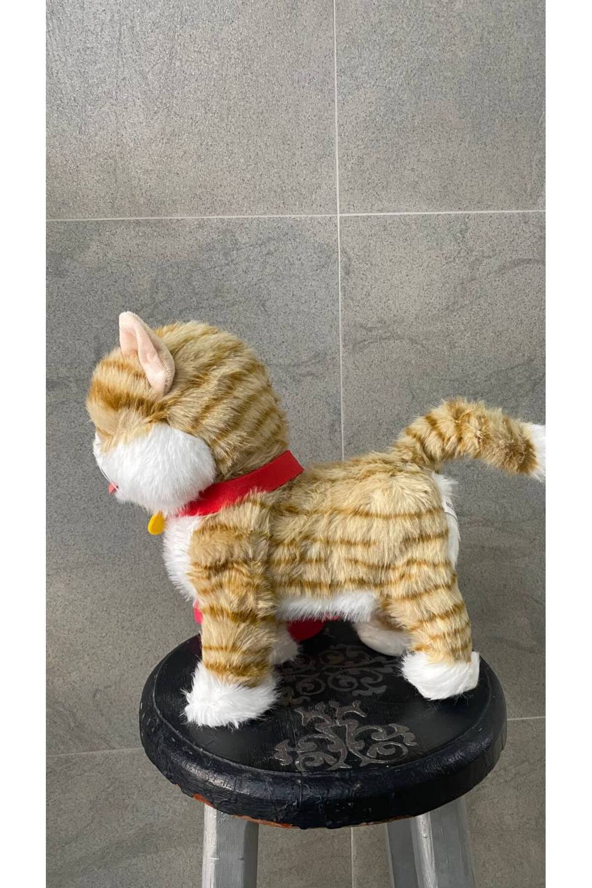 Magicway Şarjlı Müzikli Yürüyen Miyavlayan Yalayan Kuyruk Başını Sallayan Ses Kaydını Tekrarlayan Peluş Kedi fotoğrafı 4 (önizleme)