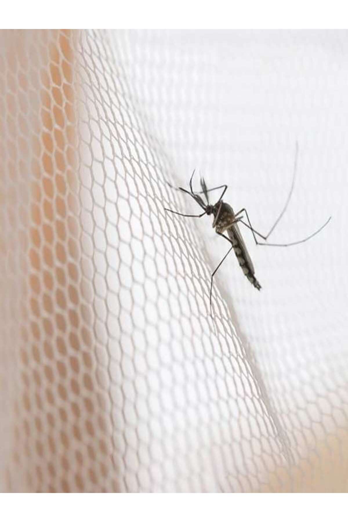 ANTBRO-White mosquito net for window 1 × 1 m, insect protection, assembly with tape and knife included 2