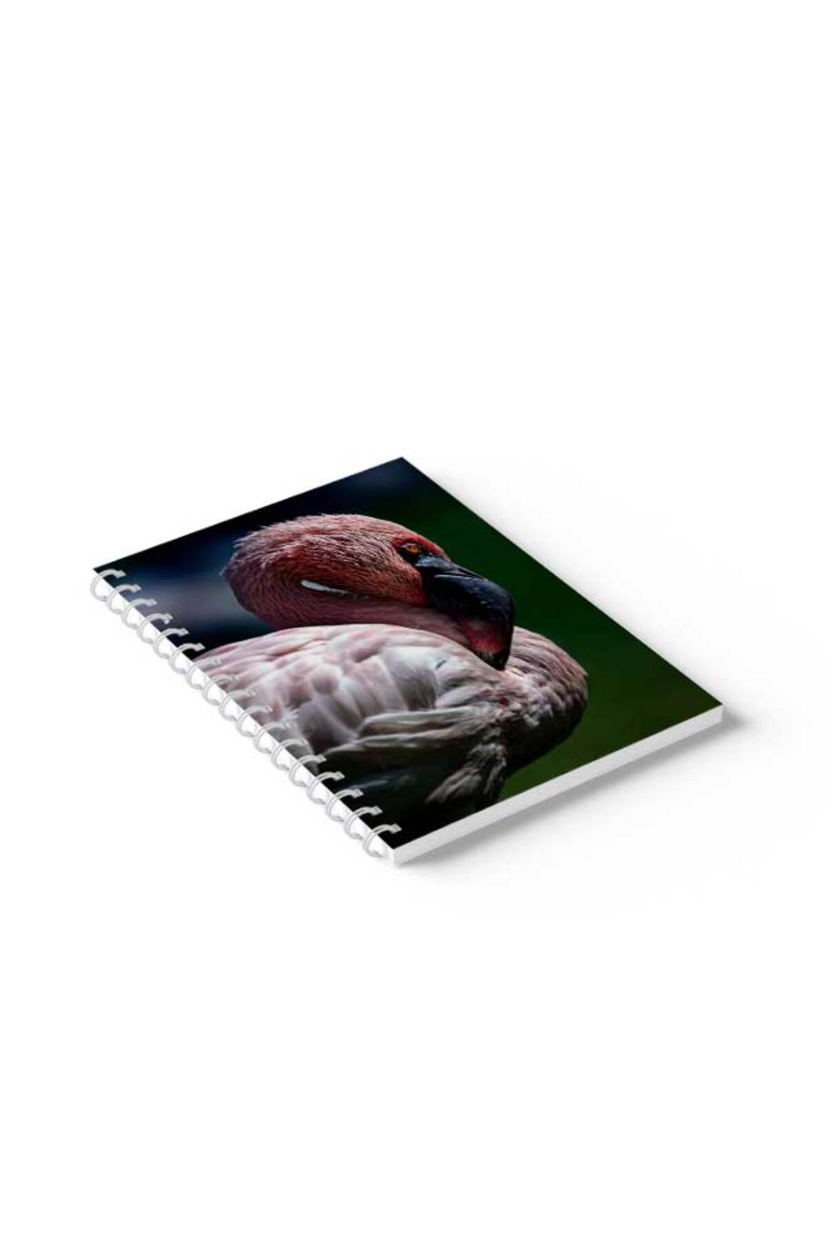 LOWHA-Spiral Notebook with Front and Back Hard Covers Featuring Flamingo Design 2
