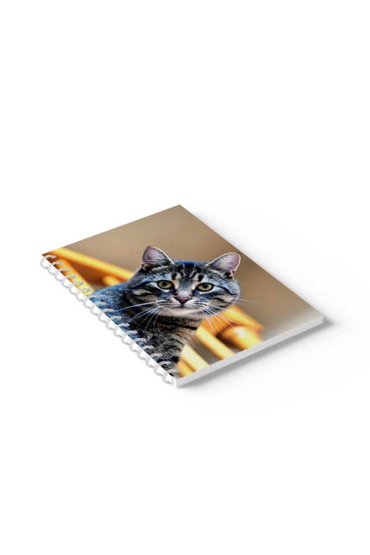 LOWHA-Spiral Notebook with Front and Back Hard Covers Featuring Cat Design 2