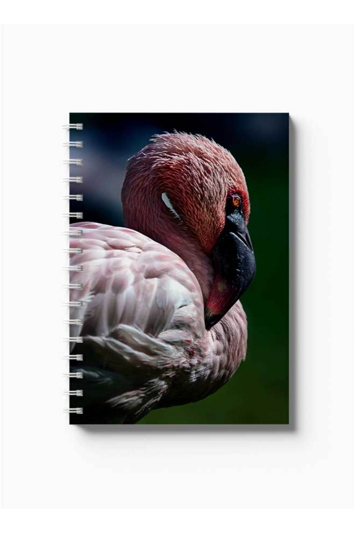 LOWHA-Spiral Notebook with Front and Back Hard Covers Featuring Flamingo Design 5