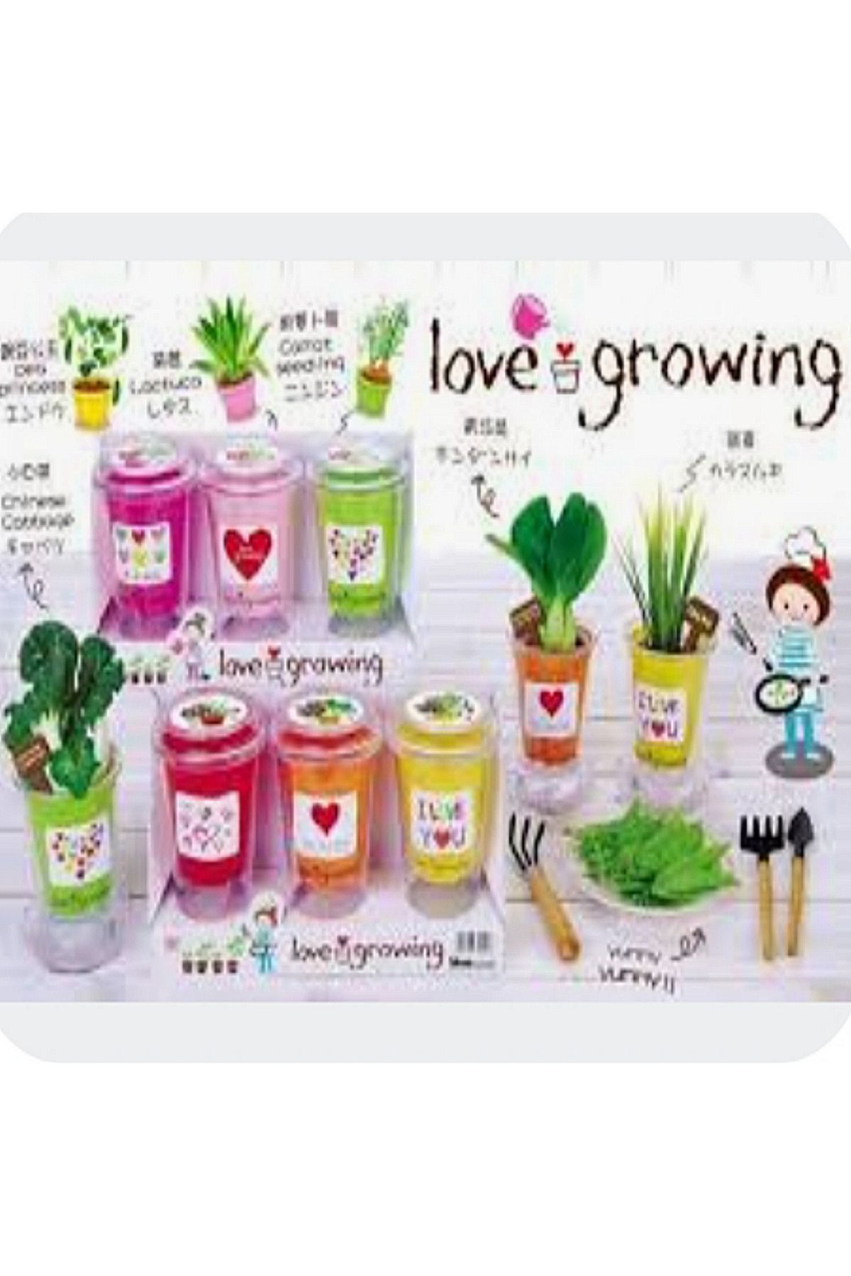 Other-1Psc The Wonder Plant A plant with a pot containing seeds that grows in a few weeks with an elegant appearance for personal interest 3