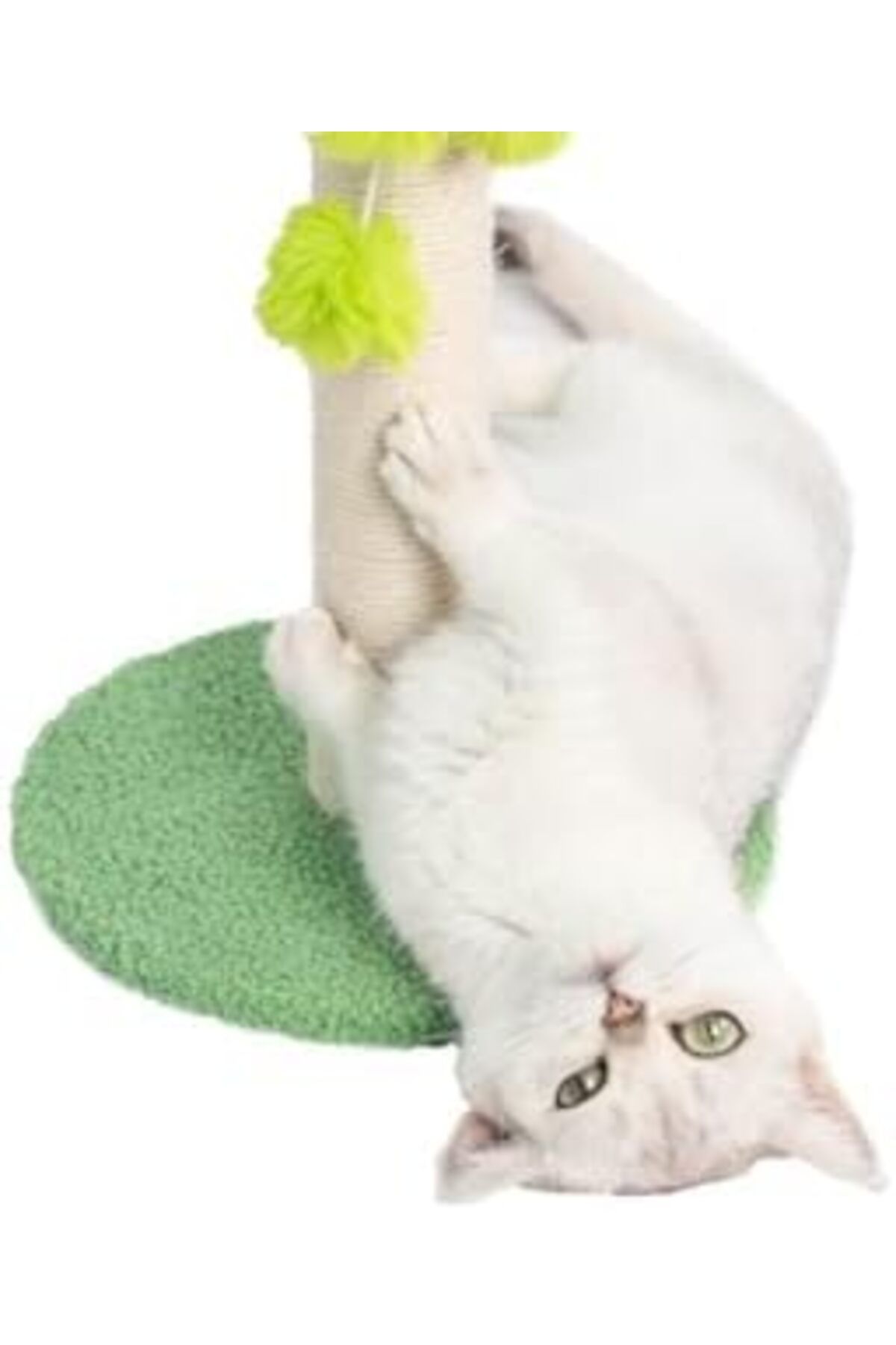 aylam-Cat Scratching Post, Cat Scratcher Tree, Natural Sisal Cat Scratch Post Beds Interactive 3 Toy 6