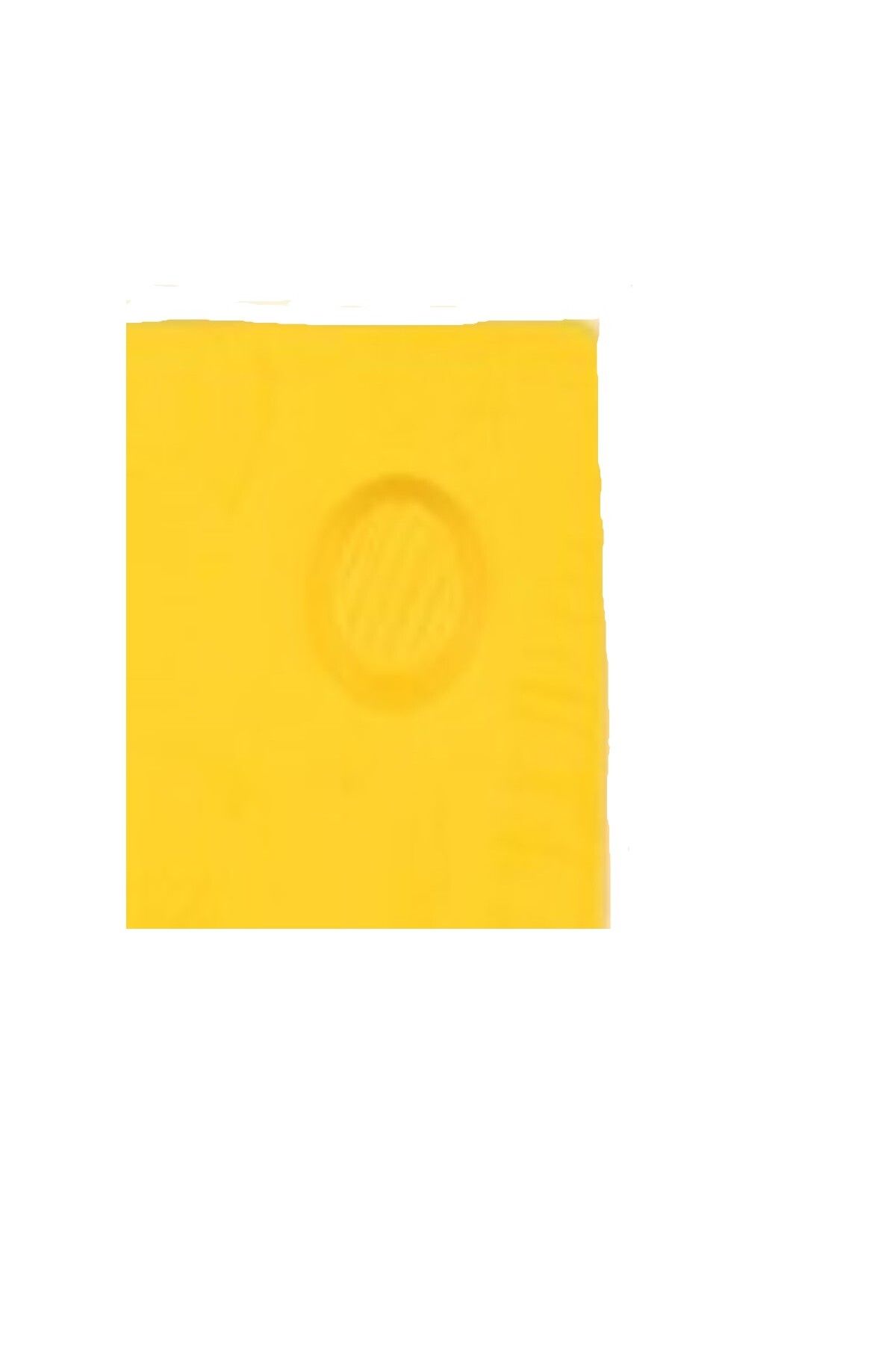 solon-Alerting Dot Outdoor with Base, Bump Dots for the Visually Impaired, Tactile Dot 4