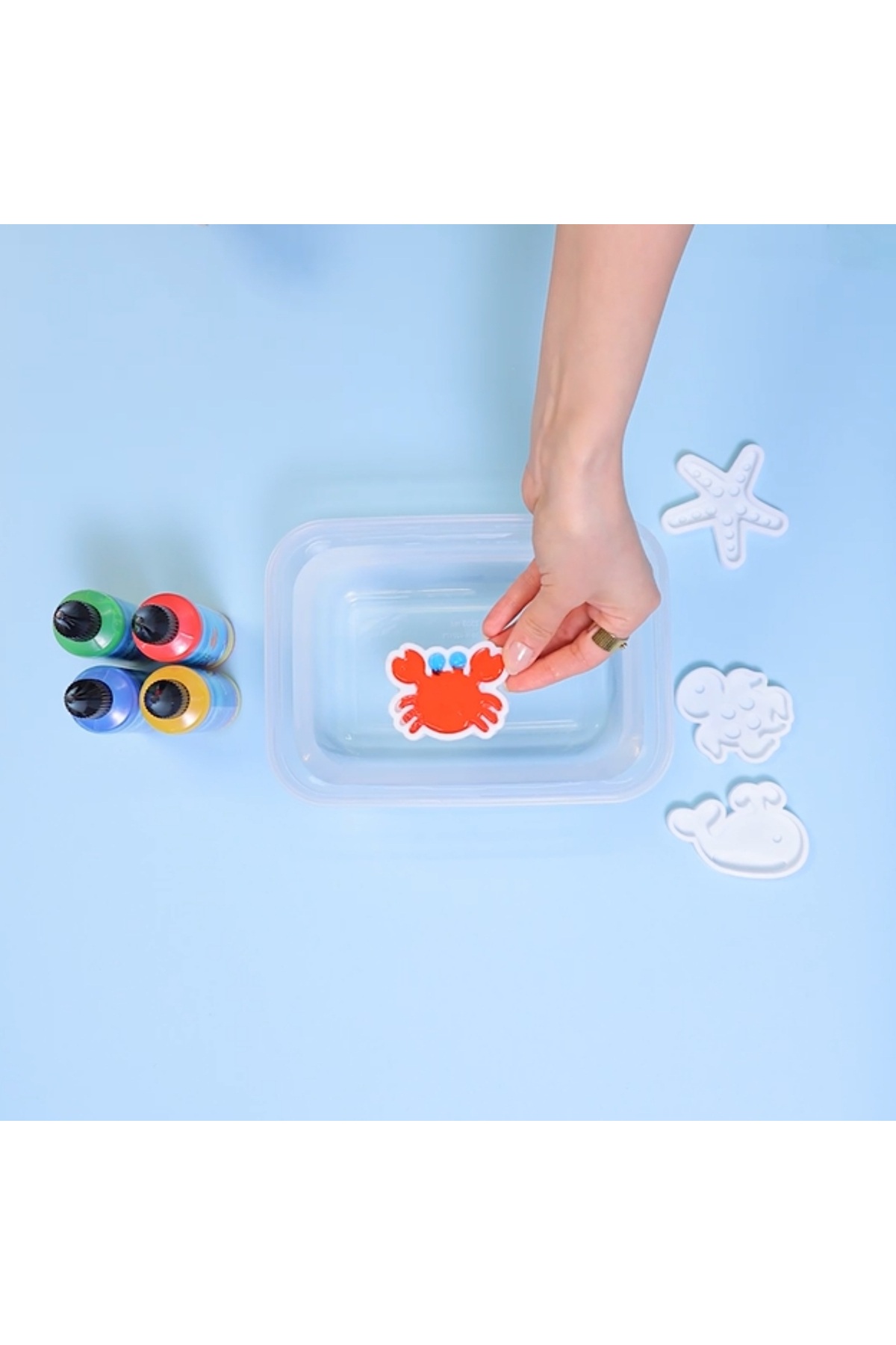 مجموعه بازی آموزشی DIY الف آب جادویی، حیوانات آب جادویی