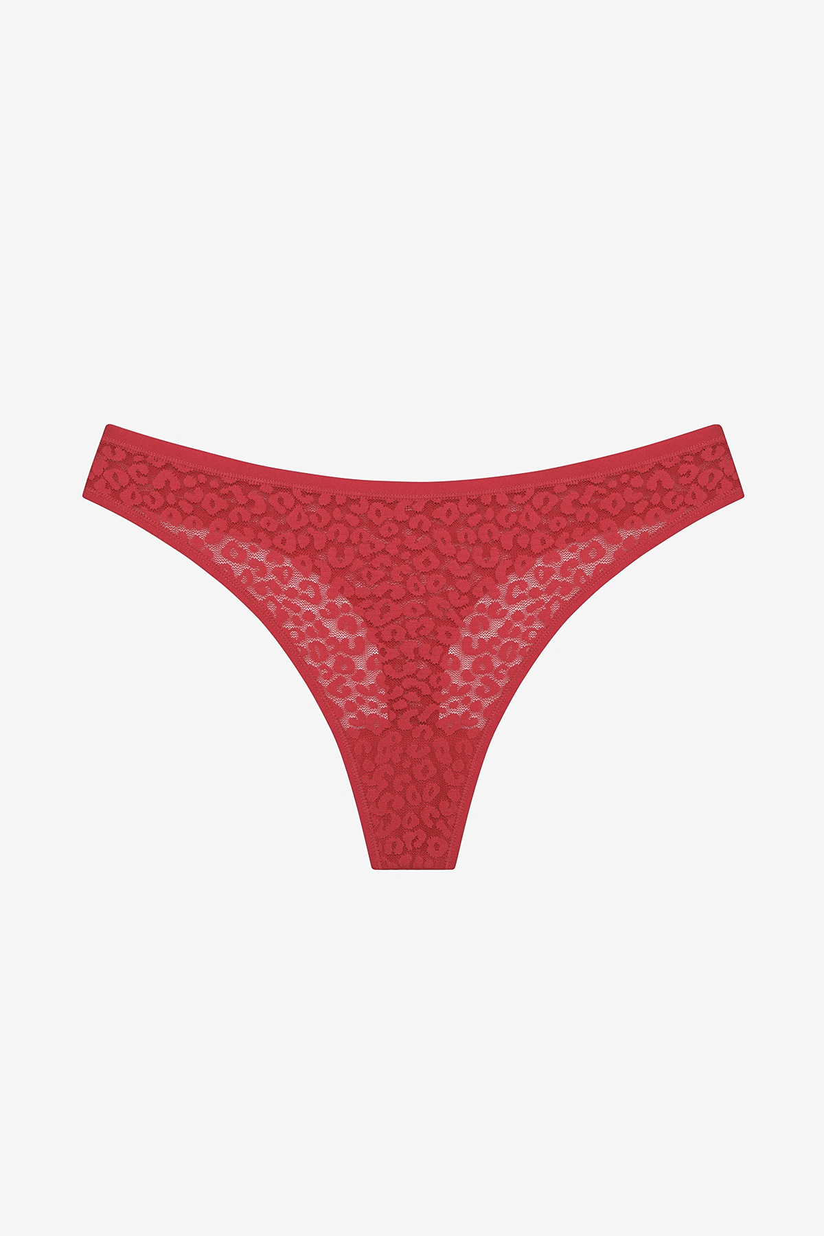 Penti-Lace Lace 3-teiliges mehrfarbiges Tanga-Höschen 2