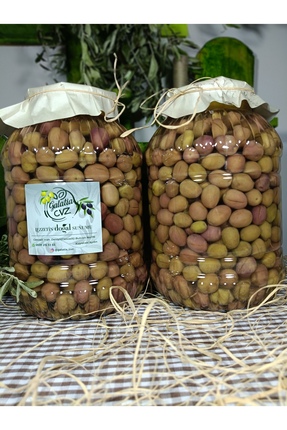 galatia cvz Aydın Yöresi Manzalina Cinsi Sofralık Tatlandırılmış Çizik Zeytin...