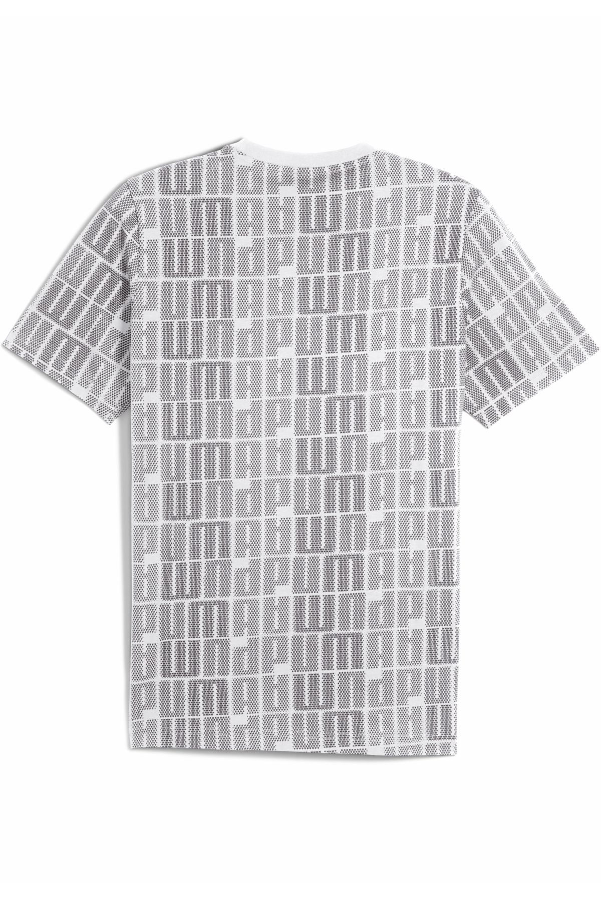 Puma-Essentials Logo Lab Tee Men 6