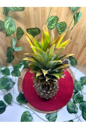 miralanya meyvecim Ananas 3 Adet