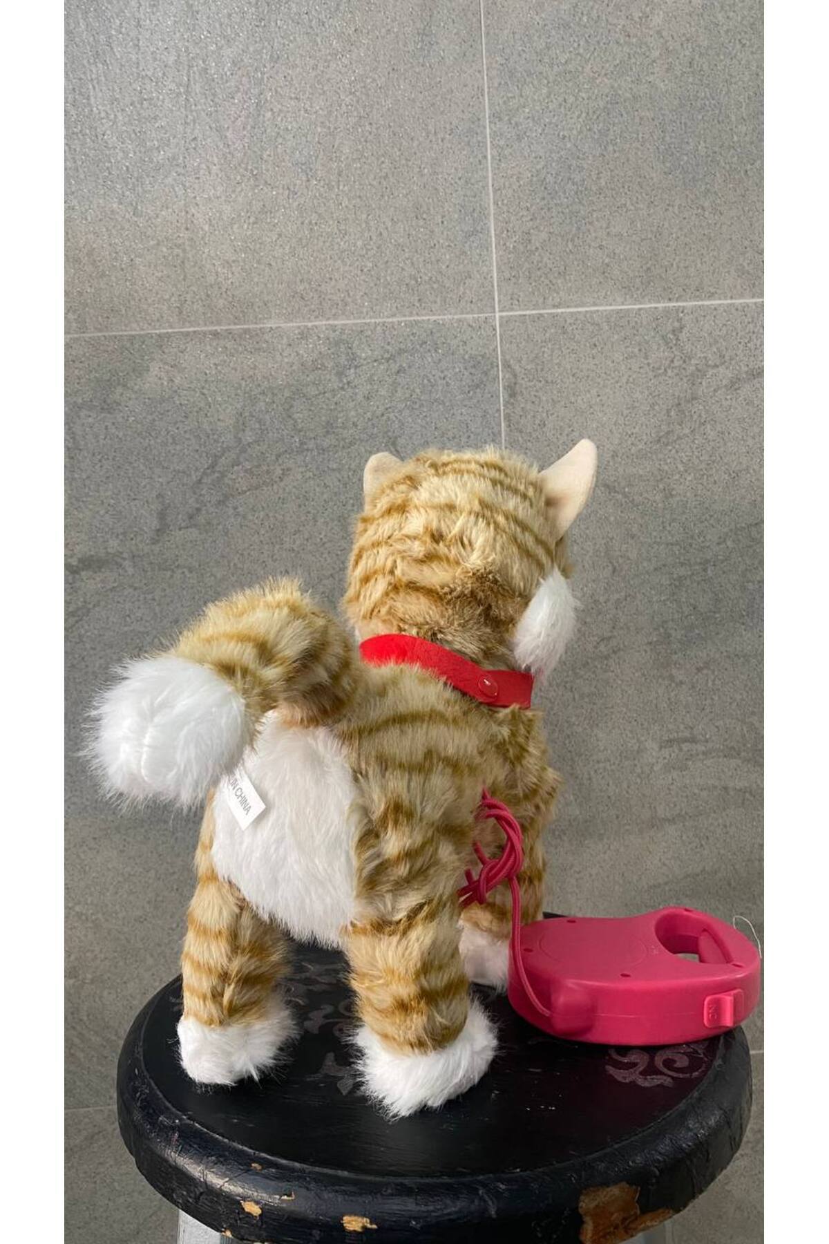 Magicway Şarjlı Müzikli Yürüyen Miyavlayan Yalayan Kuyruk Başını Sallayan Ses Kaydını Tekrarlayan Peluş Kedi fotoğrafı 3 (önizleme)