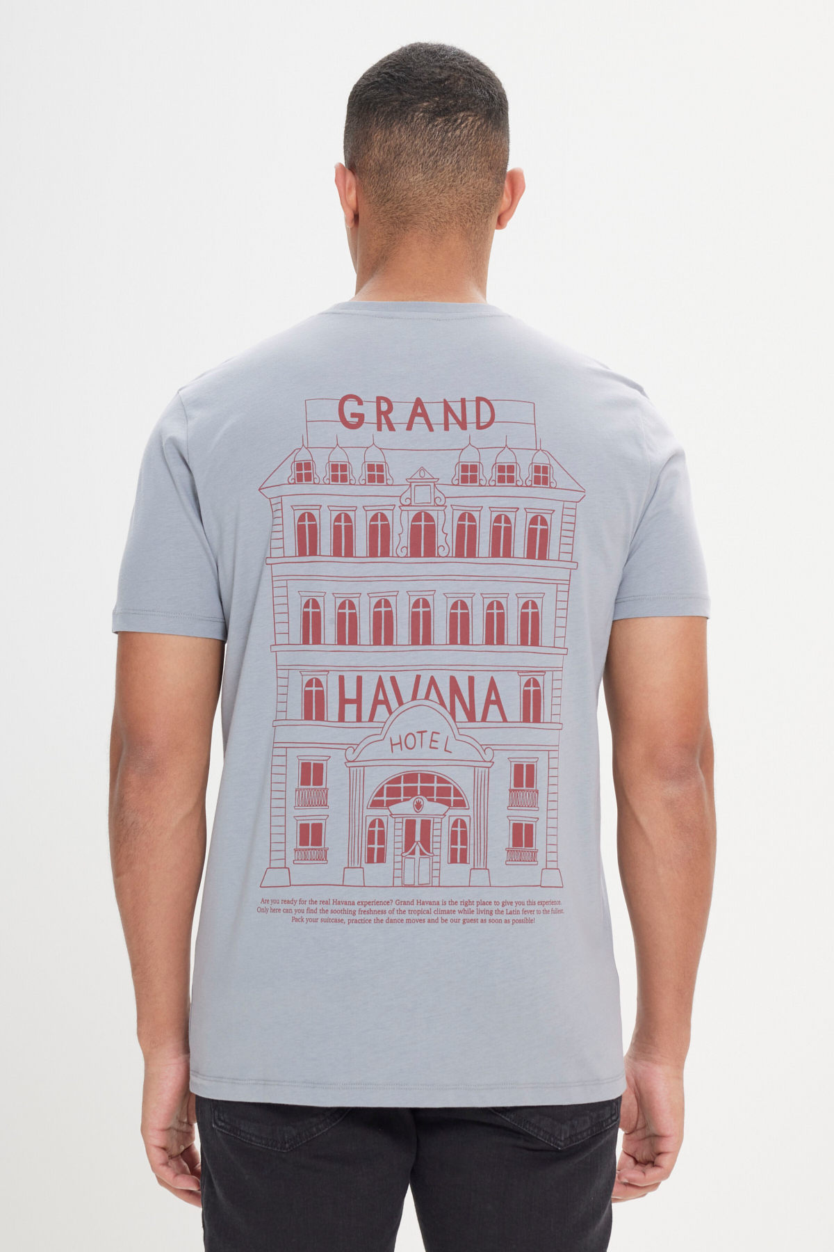 AC&Co / Altınyıldız Classics  Erkek Gri Standart Fit Normal Kesim %100 Pamuk Baskılı Bisiklet Yaka Tişört - Görsel 2