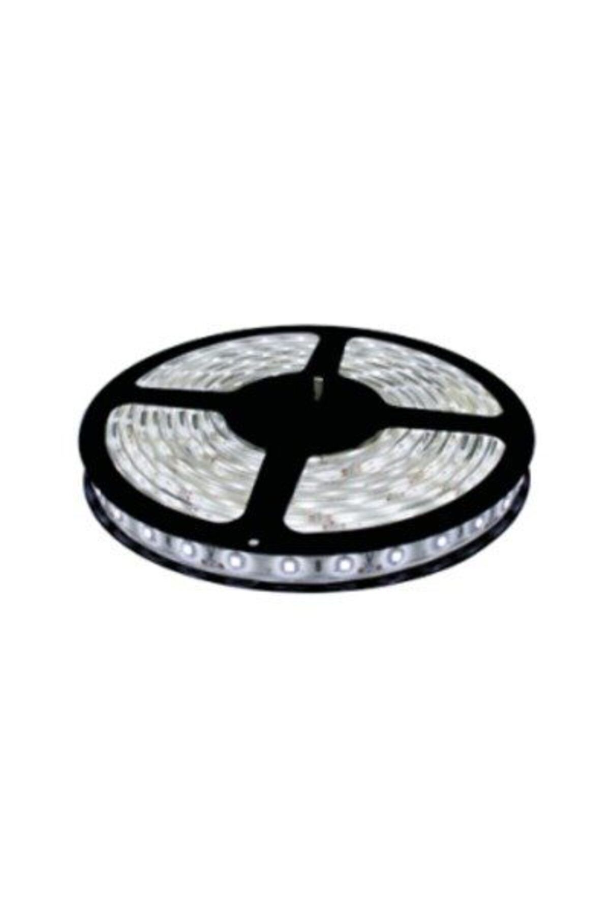 Braytron-Bandă LED 18W/M 2835 120LED/M 6500K 24VDC IP20 5M 2