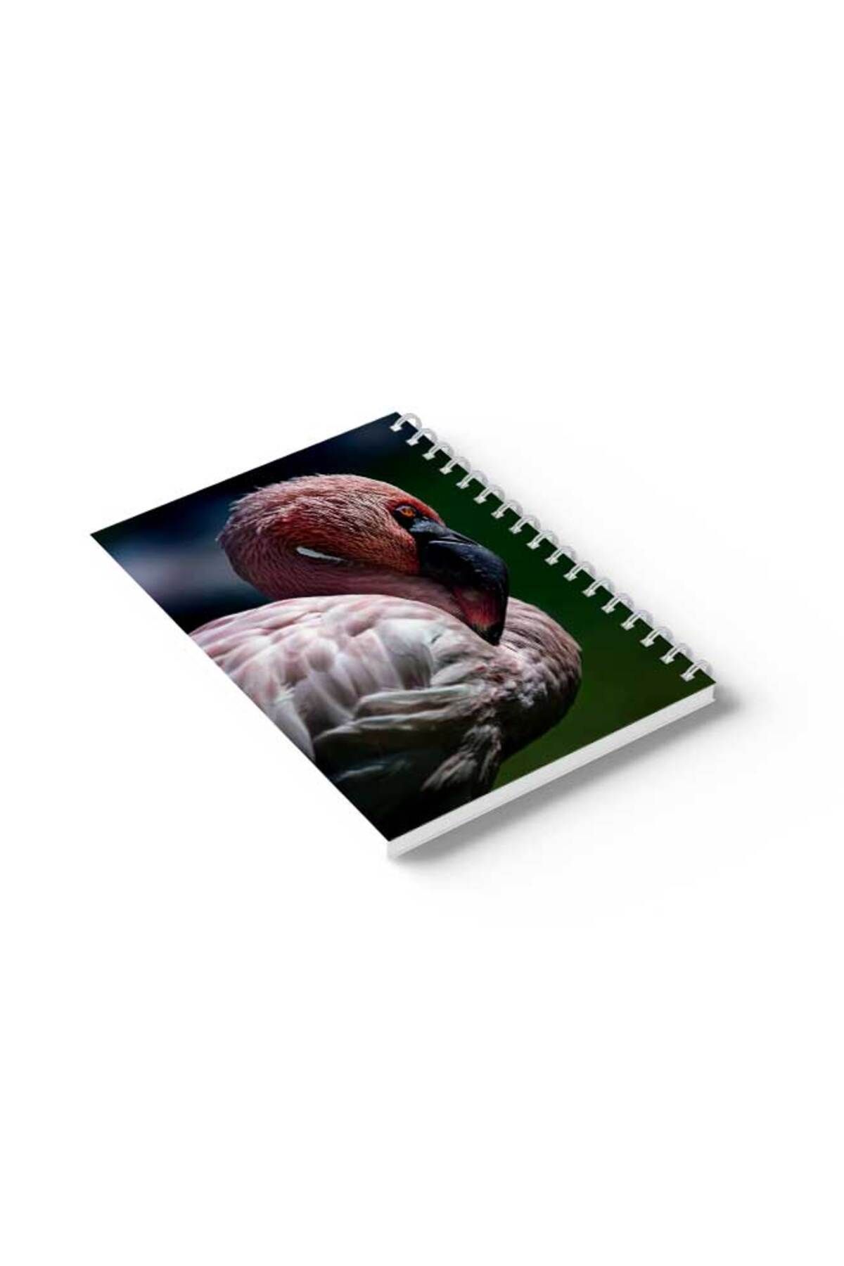 LOWHA-Spiral Notebook with Front and Back Hard Covers Featuring Flamingo Design 6