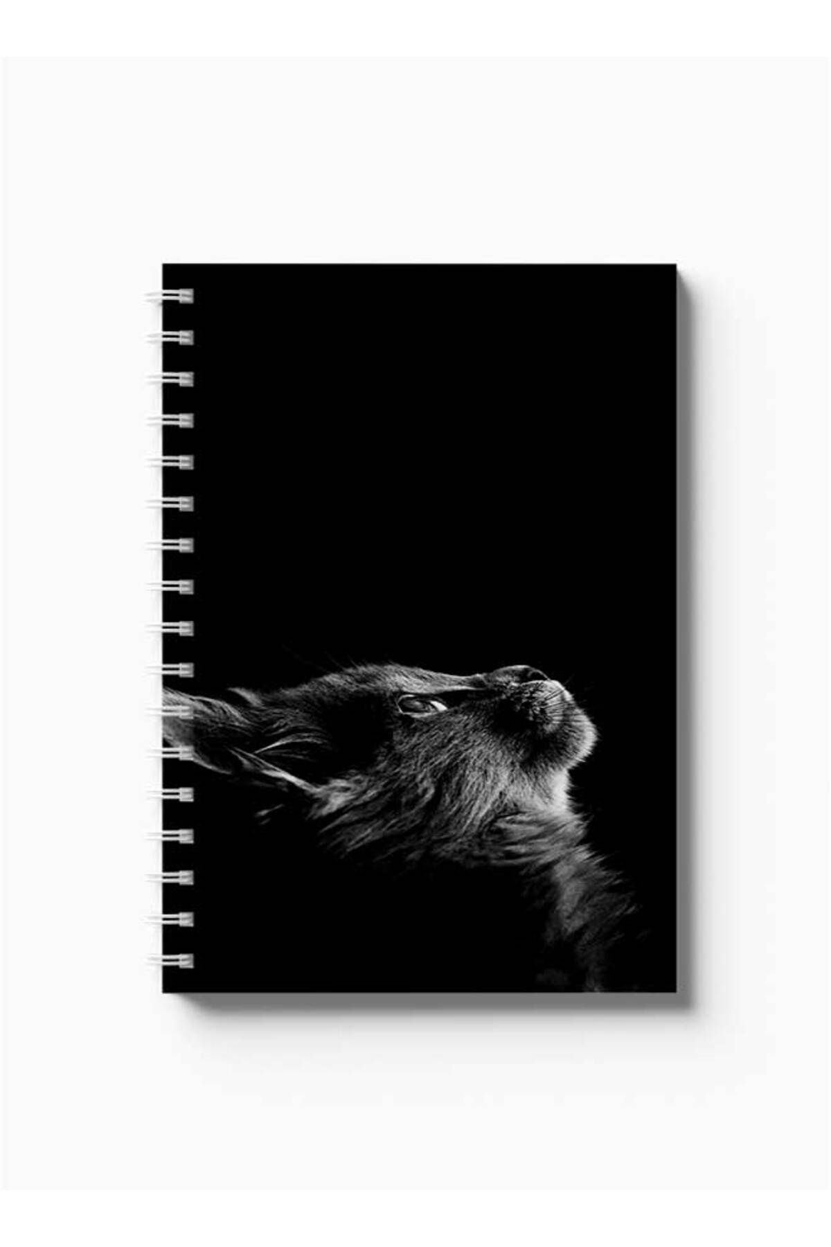 LOWHA-Spiral Notebook with Front and Back Hard Covers Featuring Cat Design 5
