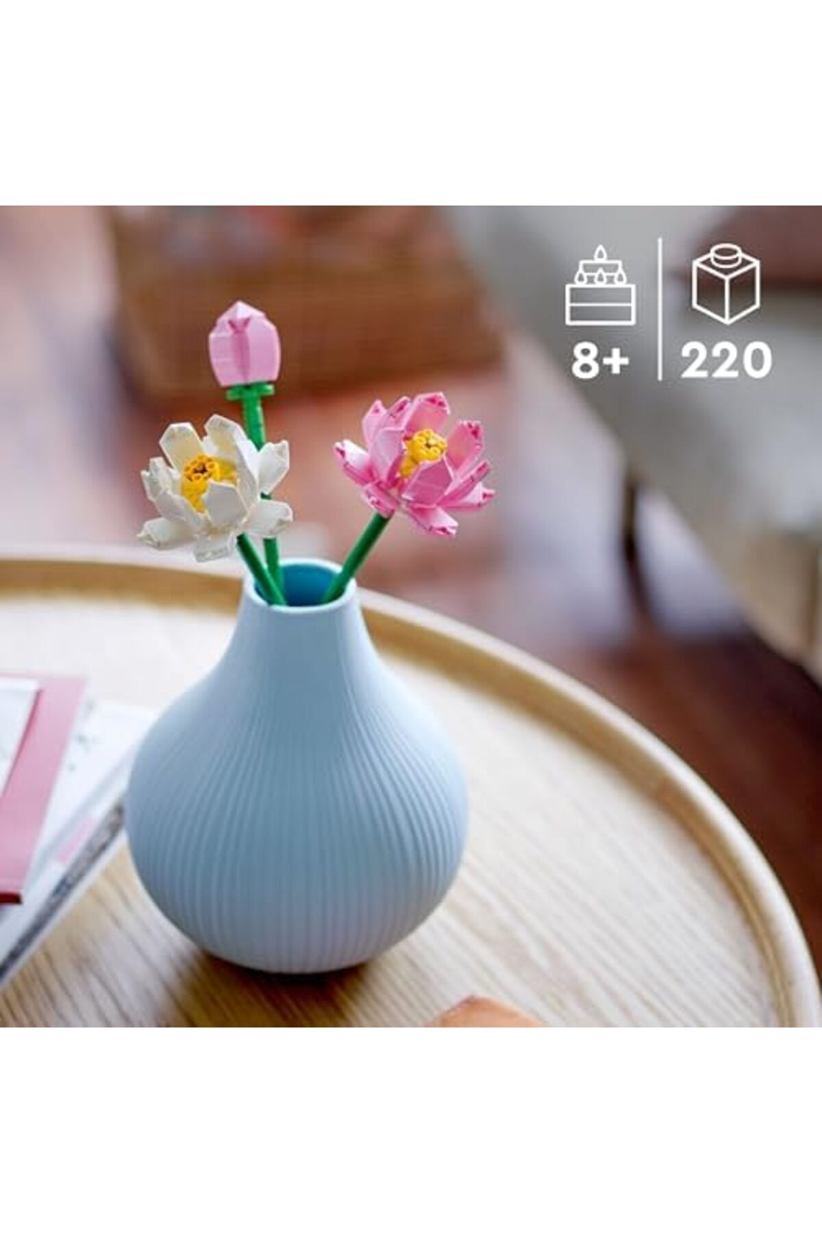 Jptrshop گیاهان دارویی گل نیلوفر آبی ۴۰۶۴۷ - گل تزئینی، کلکسیونی و قابل نمایش