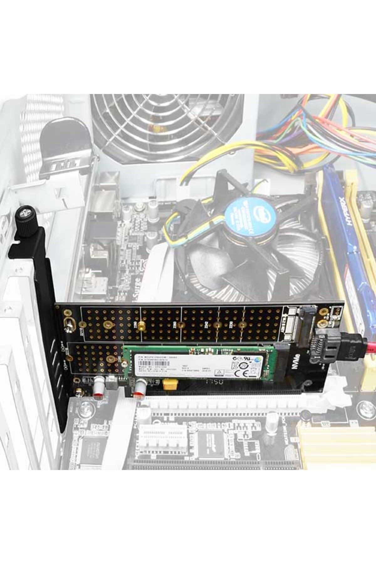 Axagon-PCI-Express x4 adapter to connect up to two M.2 disks to a computer | PCEM2-D 7