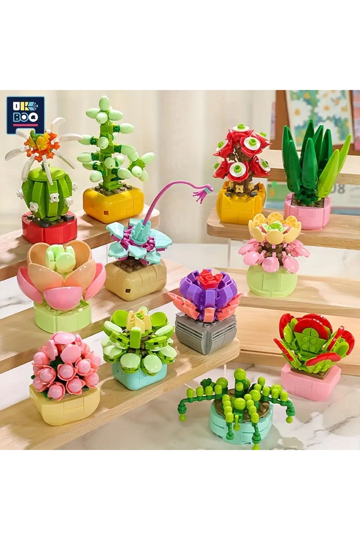 Hanaページ　3点おまとめ FLORİST | Mini Botanica | Altın Çiçek – Crassula Perforata Bitkisi