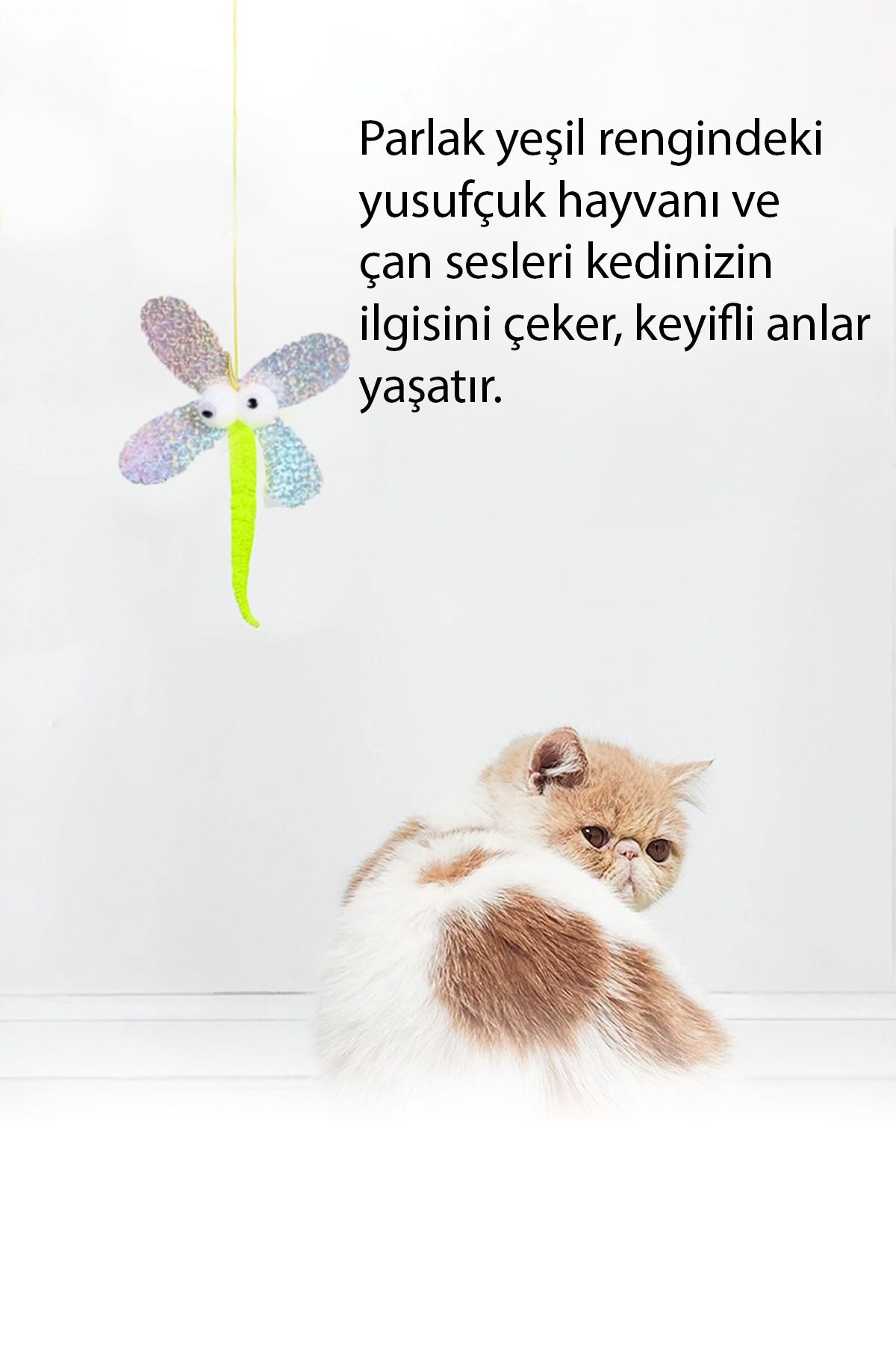 Fresh Moon-Rattle Cat Toy Elastic Butterfly Pattern Fishing Rod Toy Fun Activity Drawstring Cat Game 3