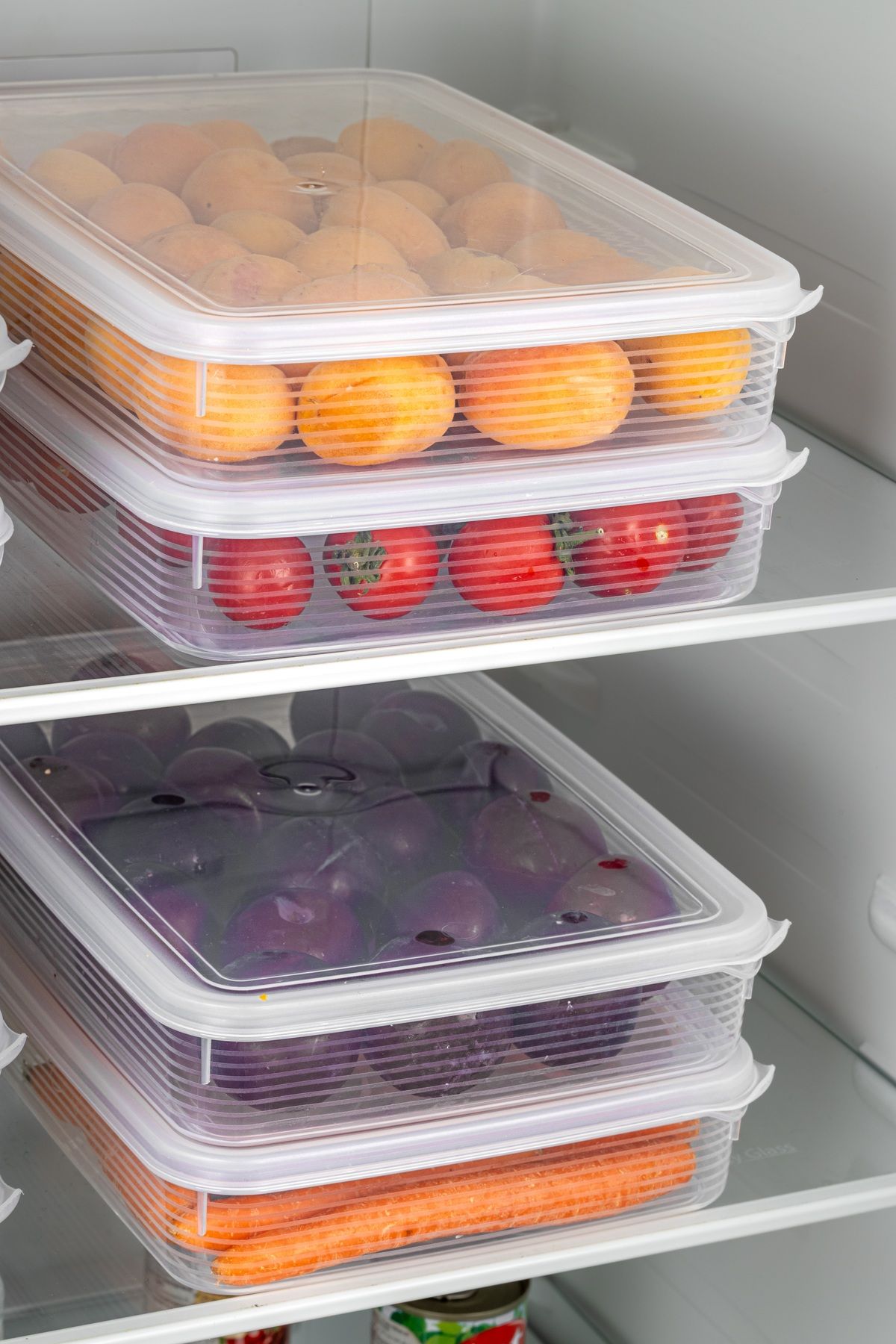 BRAMBLE LIFE-2.3 Lt Rectangular Food Pulses Storage Container Set 6