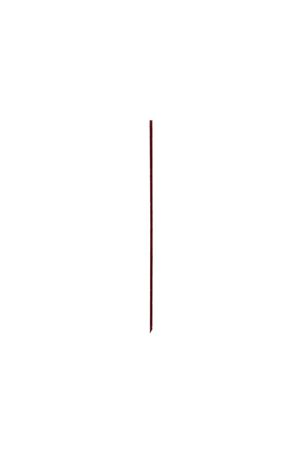 Shiseido-Microliner Ink Eyeliner Matte Eyeliner with Micro Fine Tips, Lasts up to 24 Hours 0.4 ml 2