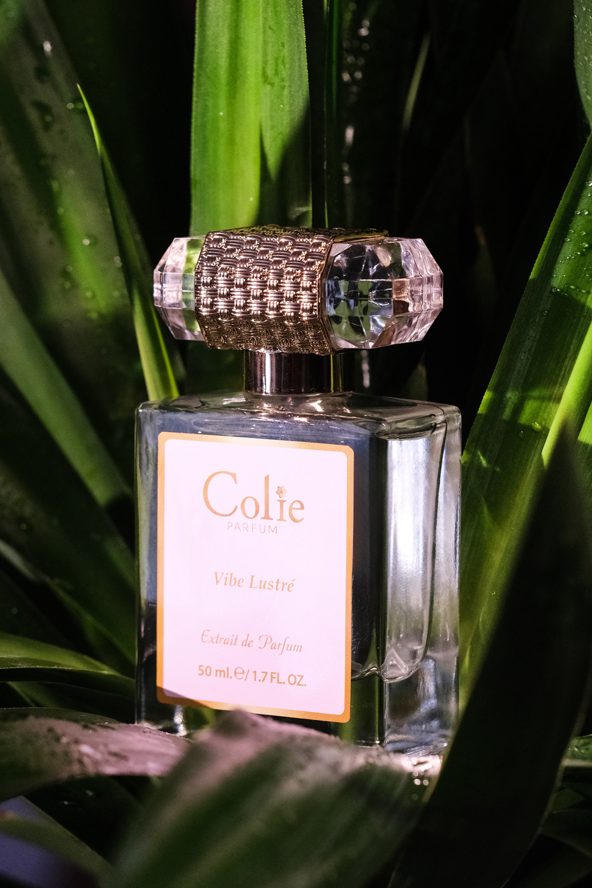 عطر زنانه Vibe Lustré 50 میلی لیتر — 868488049403A — تصویر 5 از 9