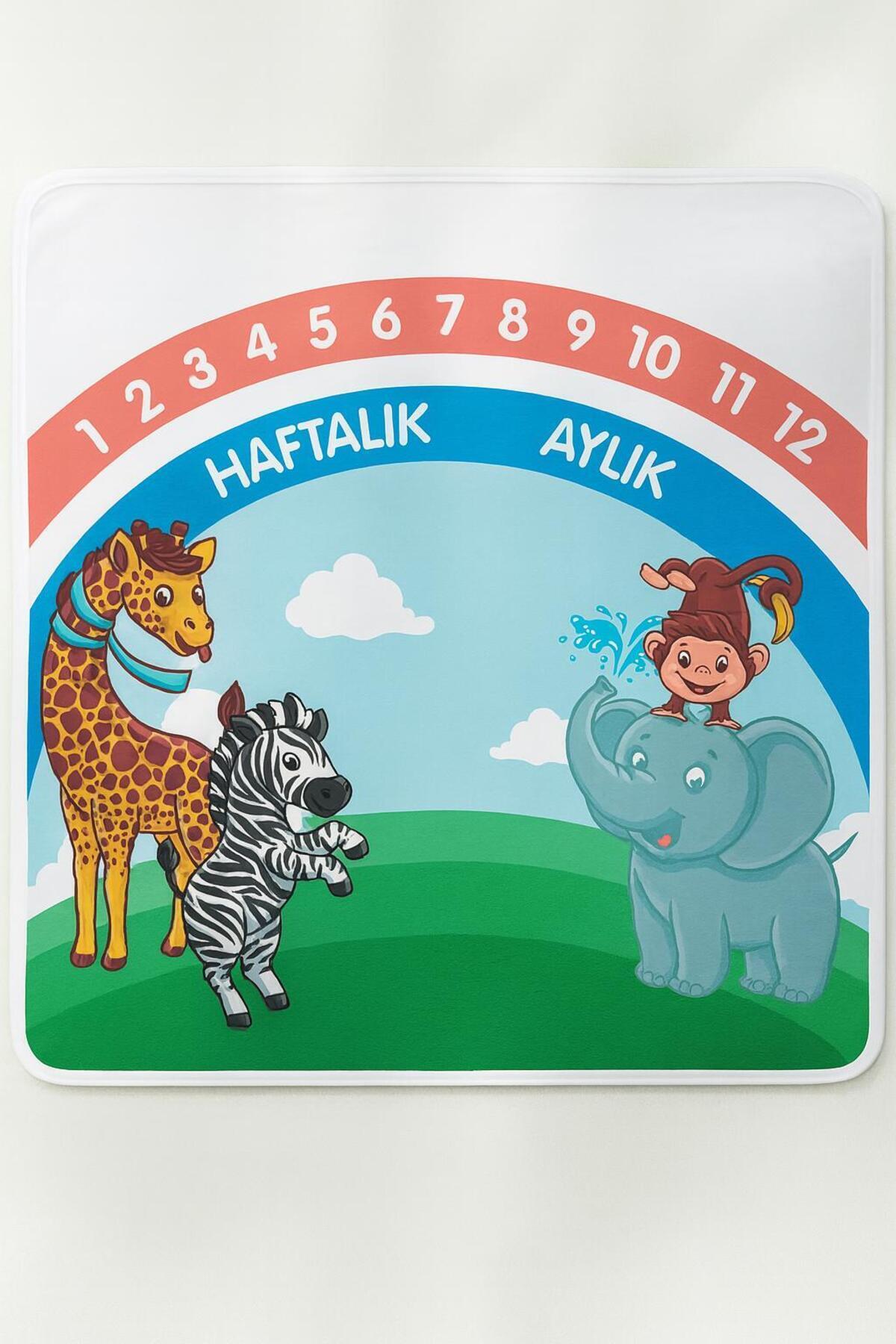 ela777 Bebek Konsept Fotoğraf Çekim Battaniyesi - Çerçeve Yeşil 80x80 fotoğrafı 2 (önizleme)