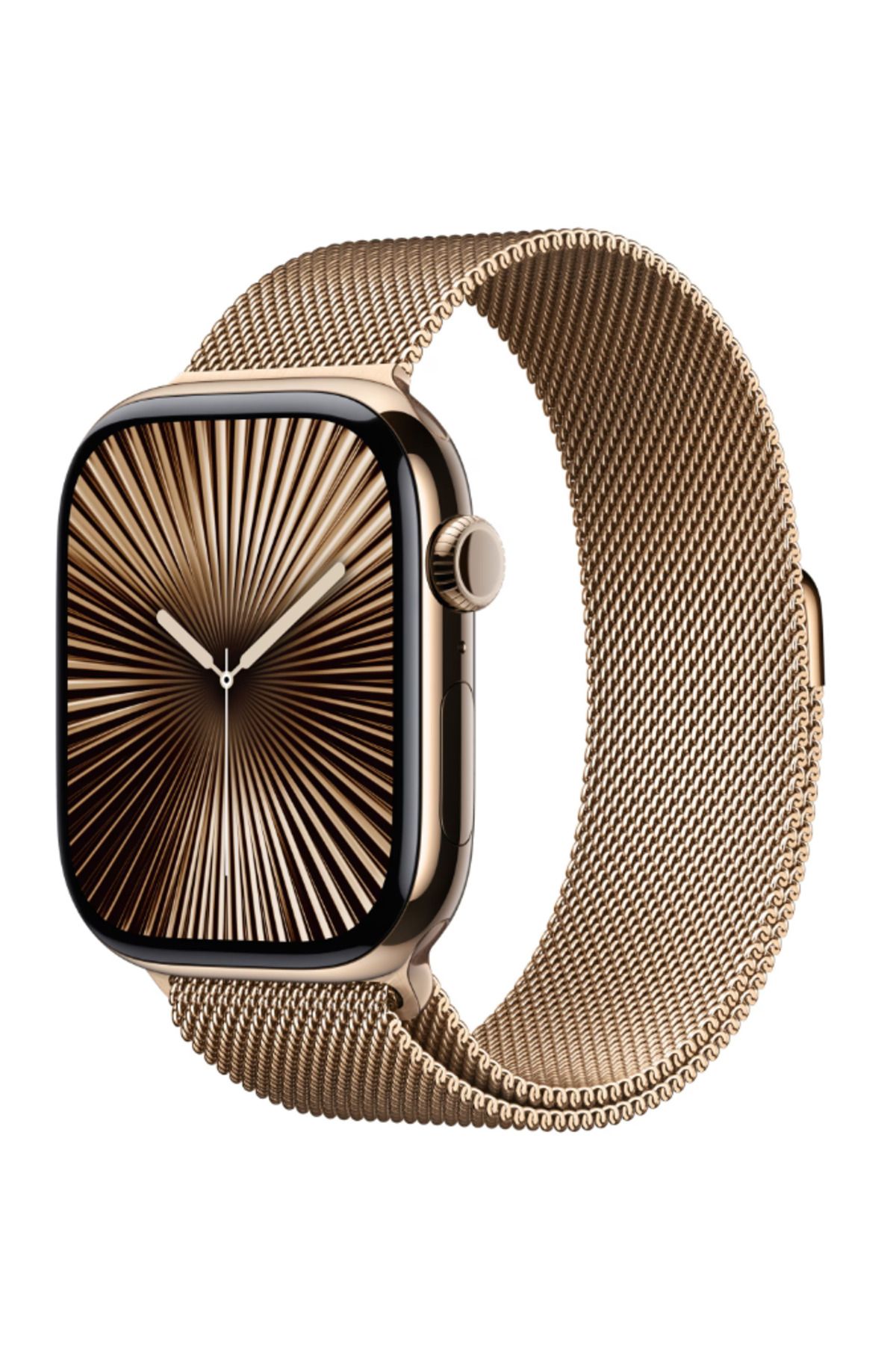 Apple-Watch S10 Cellular 46mm Titanium Case with Milanese Loop - S/M 2