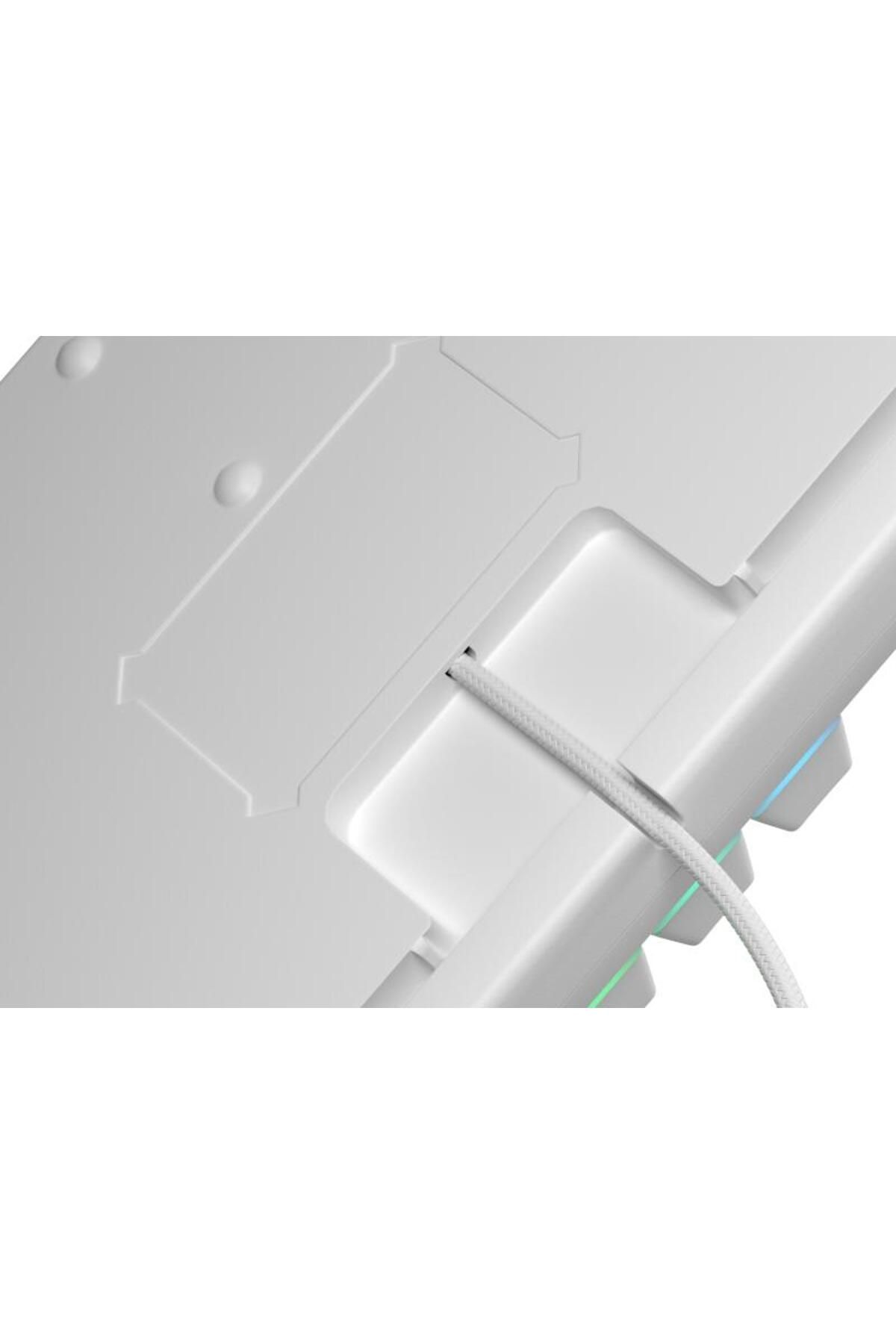 Genesis-Thor 303 TKL wired mechanical gaming keyboard, RGB lighting, Linear switch, mod switch 3