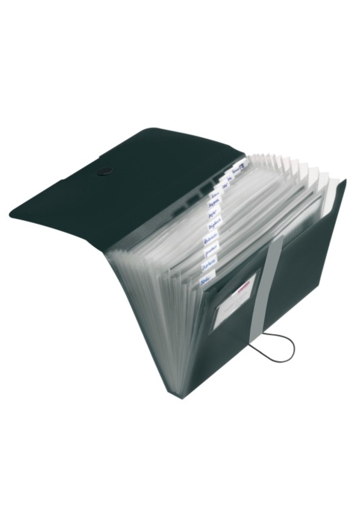 Herlitz-Dosar extensibil, format A4, material PP, închidere cu nasture elastic, indexat cu 12 compartimente, culoare negru 1