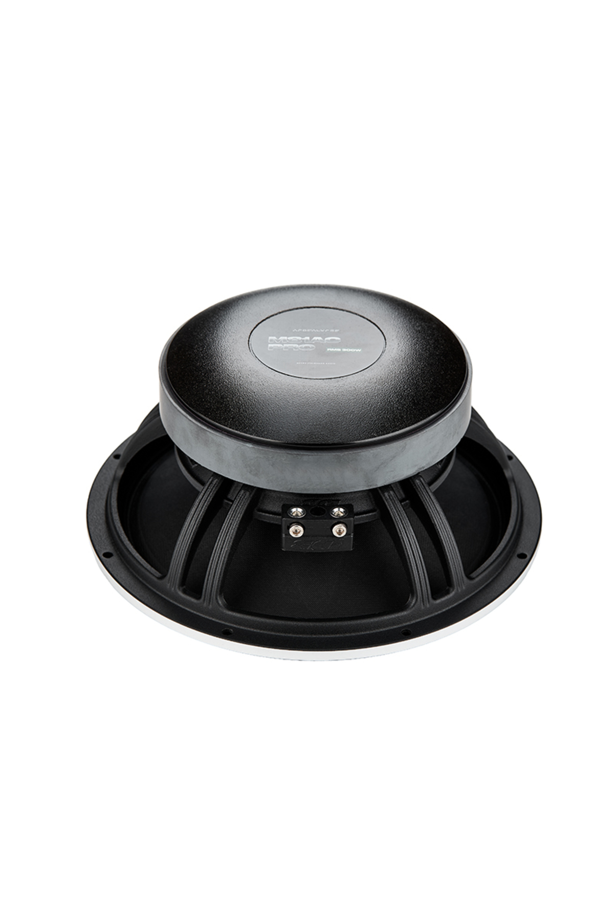 Genel Markalar AP-M81AC Pro 20CM Midrange Pro Serisi 600w 300rms
