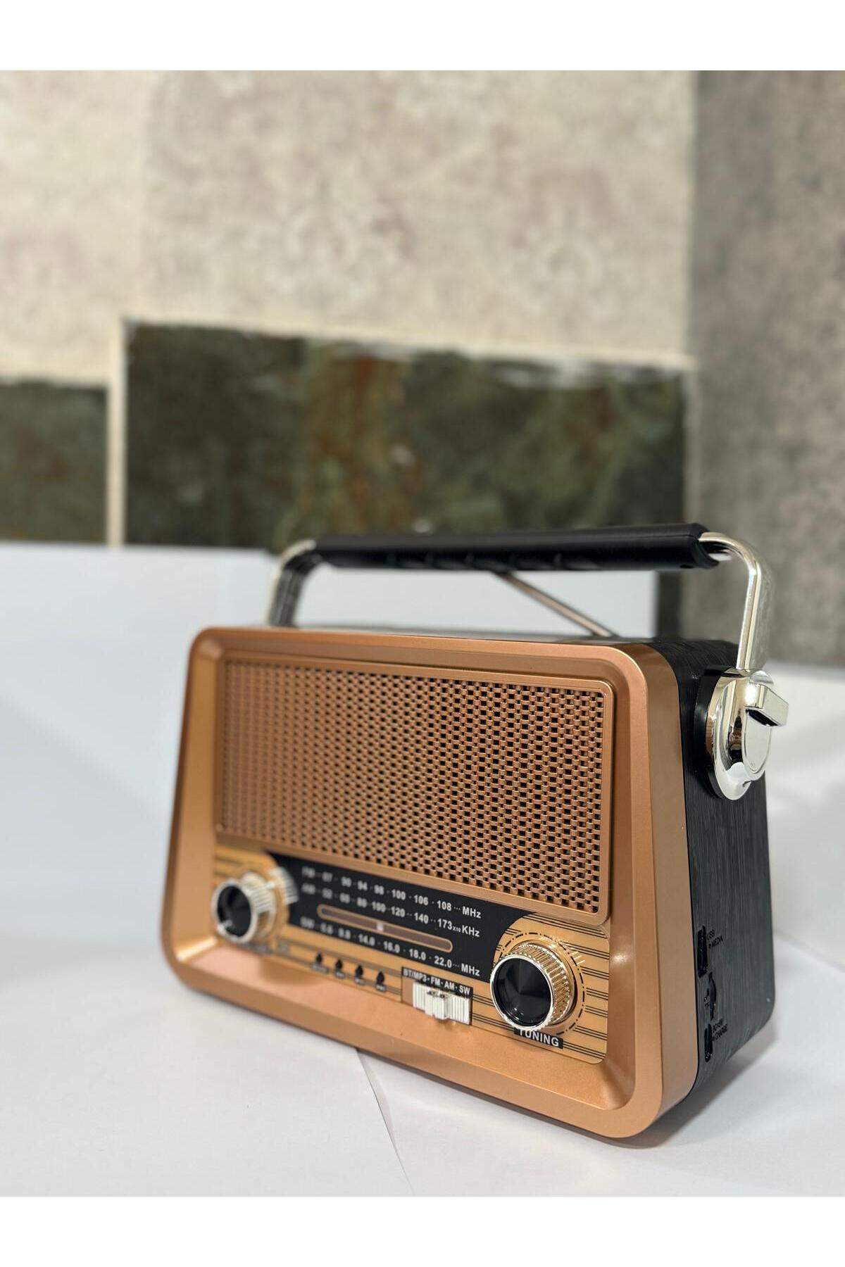 BLOMSTER Everton rt 756 büyük boy bluethoot Nostajık radyo müzik