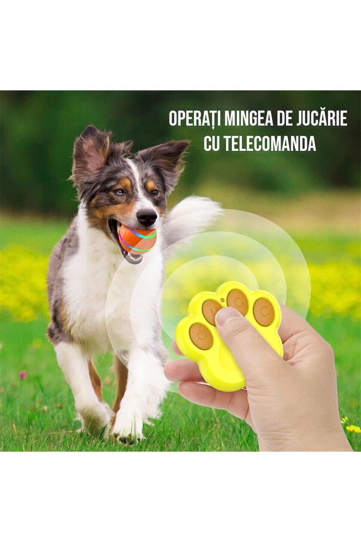SMART GADGETS C&A-Minge Caini si Pisici SMART, Rotire 360° Automata si cu Telecomanda, Rezistenta la Apa, Diametru 8 3