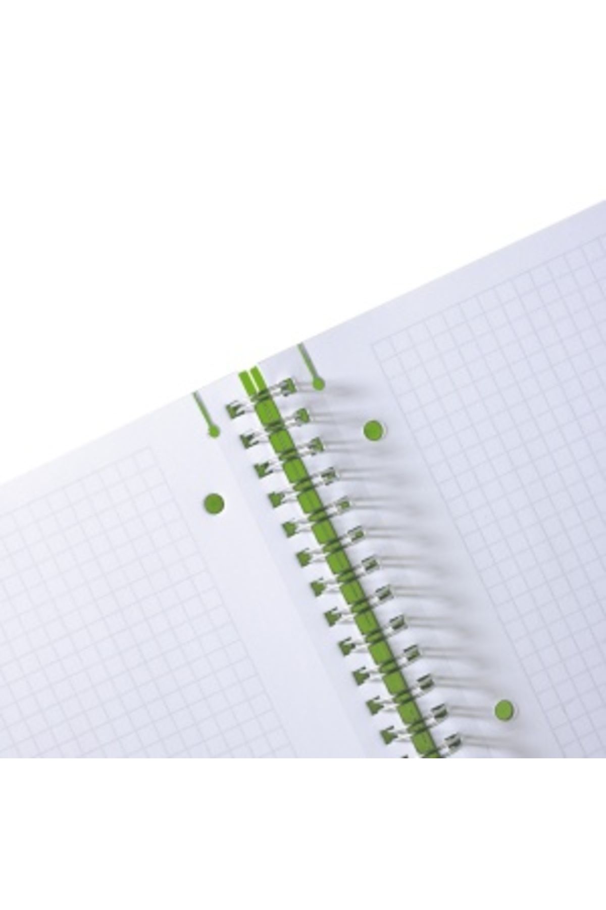 Herlitz-Caiet spiralat EOTG A4, culoare verde, material PP, 80 de coli, format grilă, bandă elastică 3