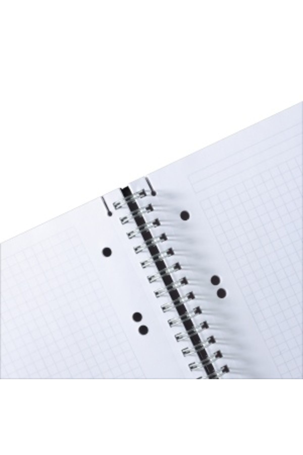 Herlitz-Caiet spiralat EOTG A5, culoare neagră, material PP, 80 de coli, format grilă, bandă elastică 3