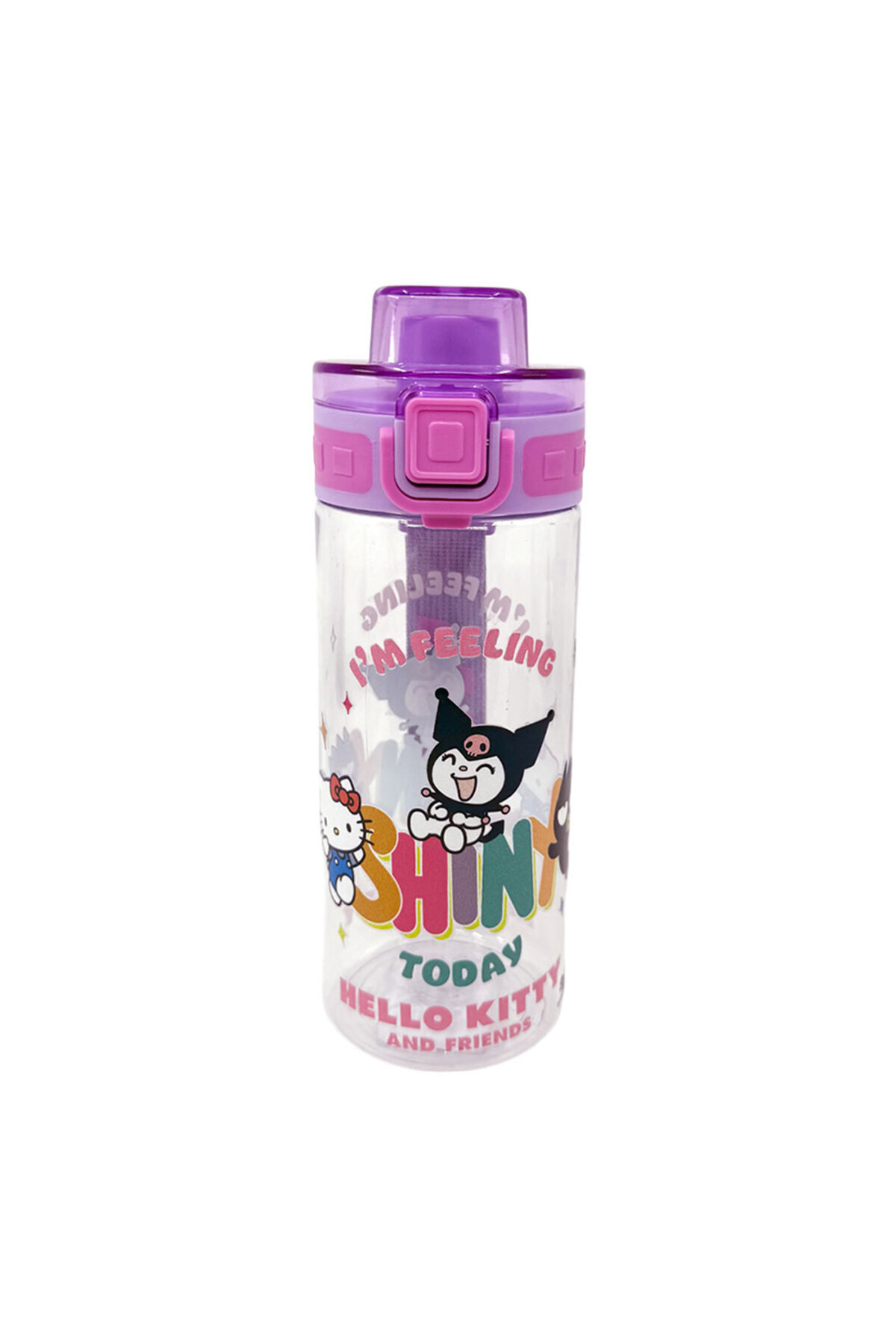 Hello Kitty-And Friends Licensed 500 ml Flask 3421 2
