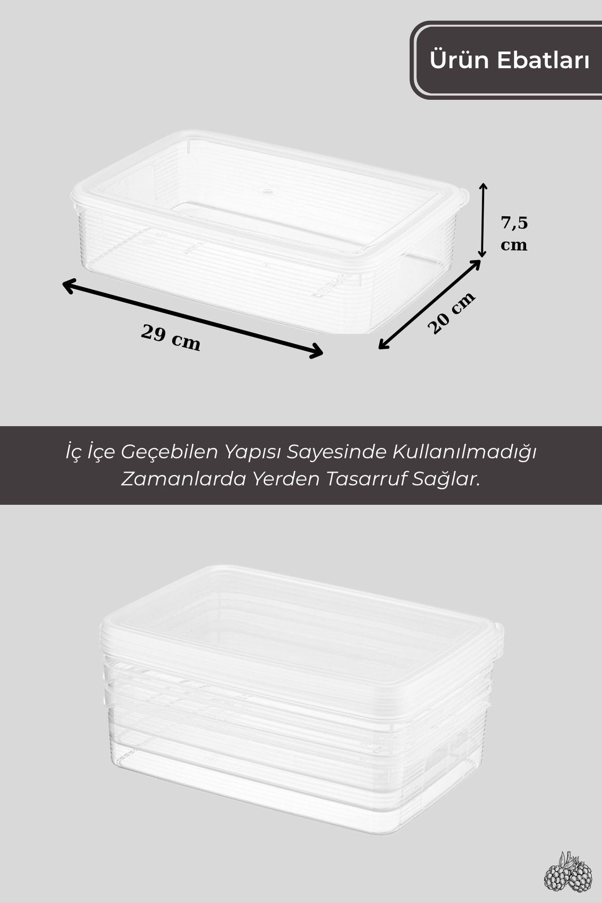 BRAMBLE LIFE-3.5 Lt Rectangular Food Pulses Storage Container Set 7