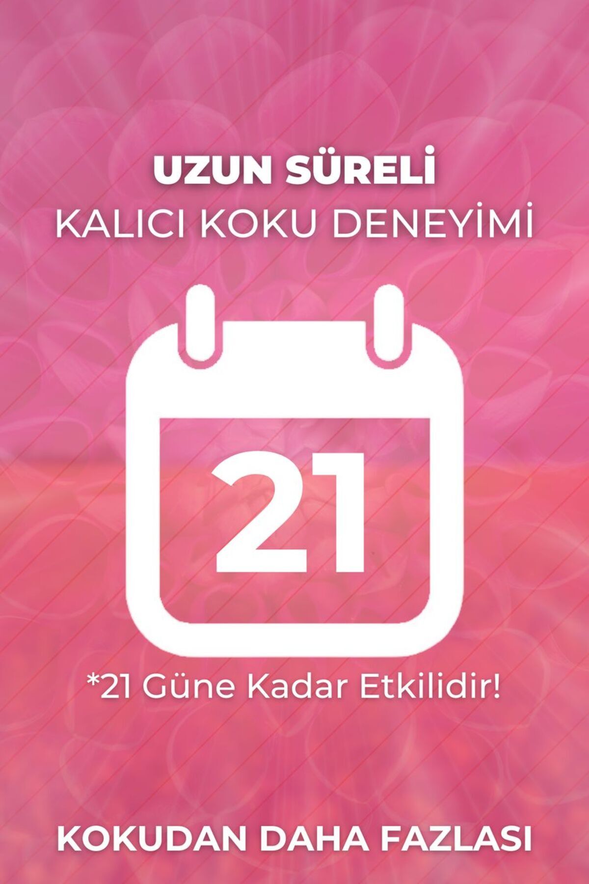AURAN 2’li Bebek Pudrası Çubuklu Oda Kokusu Esansiyel Uçucu Yağ Baby Powder 2x 50ml fotoğrafı 3 (önizleme)