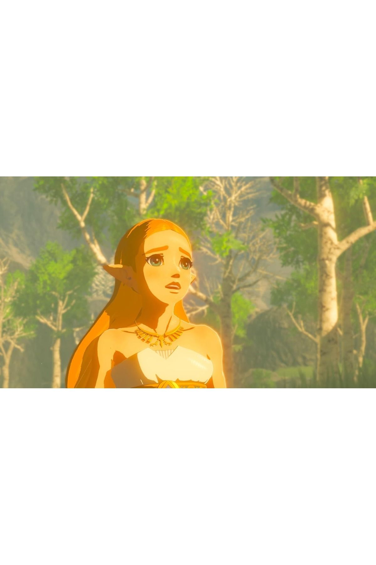 Nintendo-The Legend of Zelda - Breath of the Wild for SWITCH (KSA Version) 4