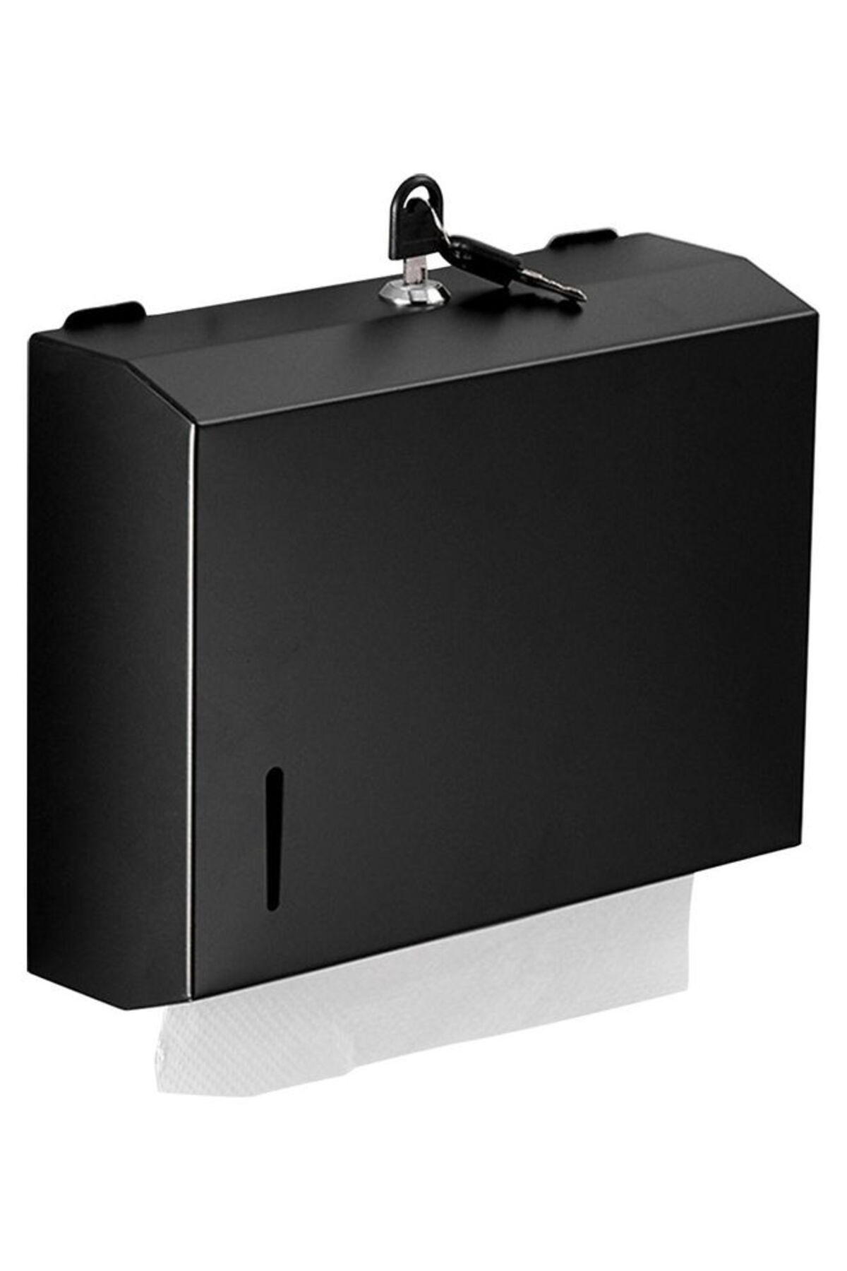 fun zone-Stainless Steel Bathroom Toilet Tissue Dispenser Black 1