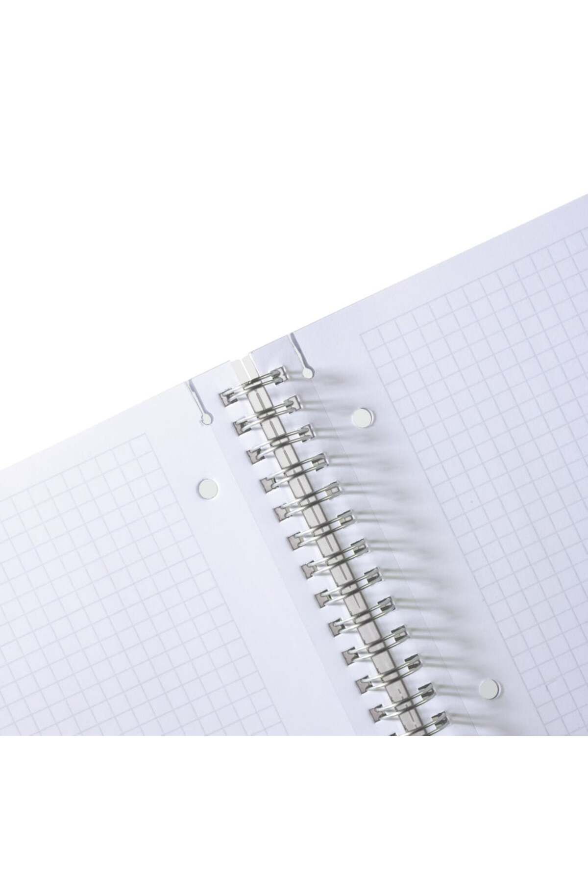 Herlitz-Caiet spiralat EOTG A4, culoare transparentă, material PP, 80 de coli, format grilă, bandă elastică 3