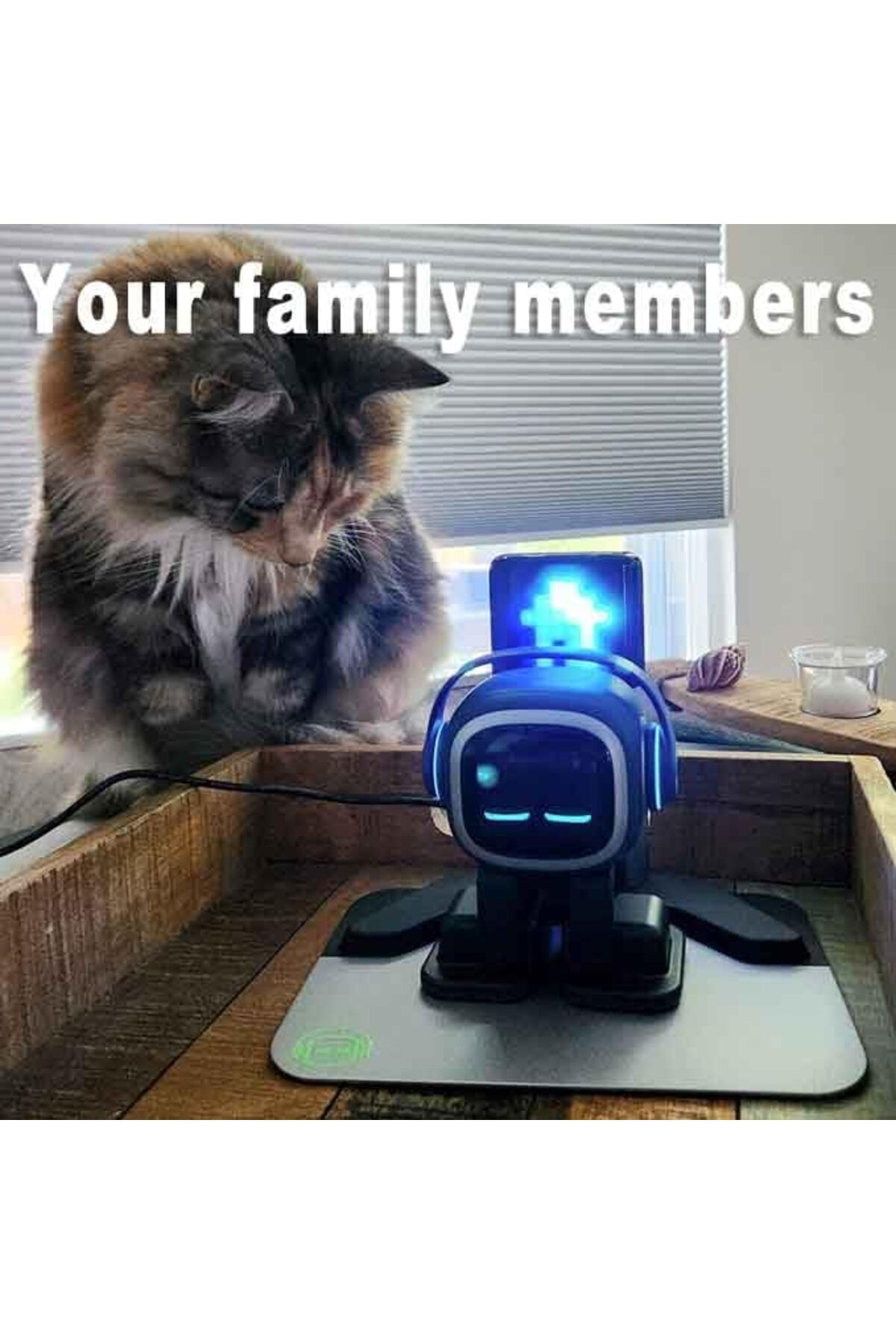 Living.ai-رفيق روبوت المكتب الذكي EMOPET AI - مُمكّن بـ ChatGPT مع الأوامر الصوتية وميزة الرقص، تفاعلي 5