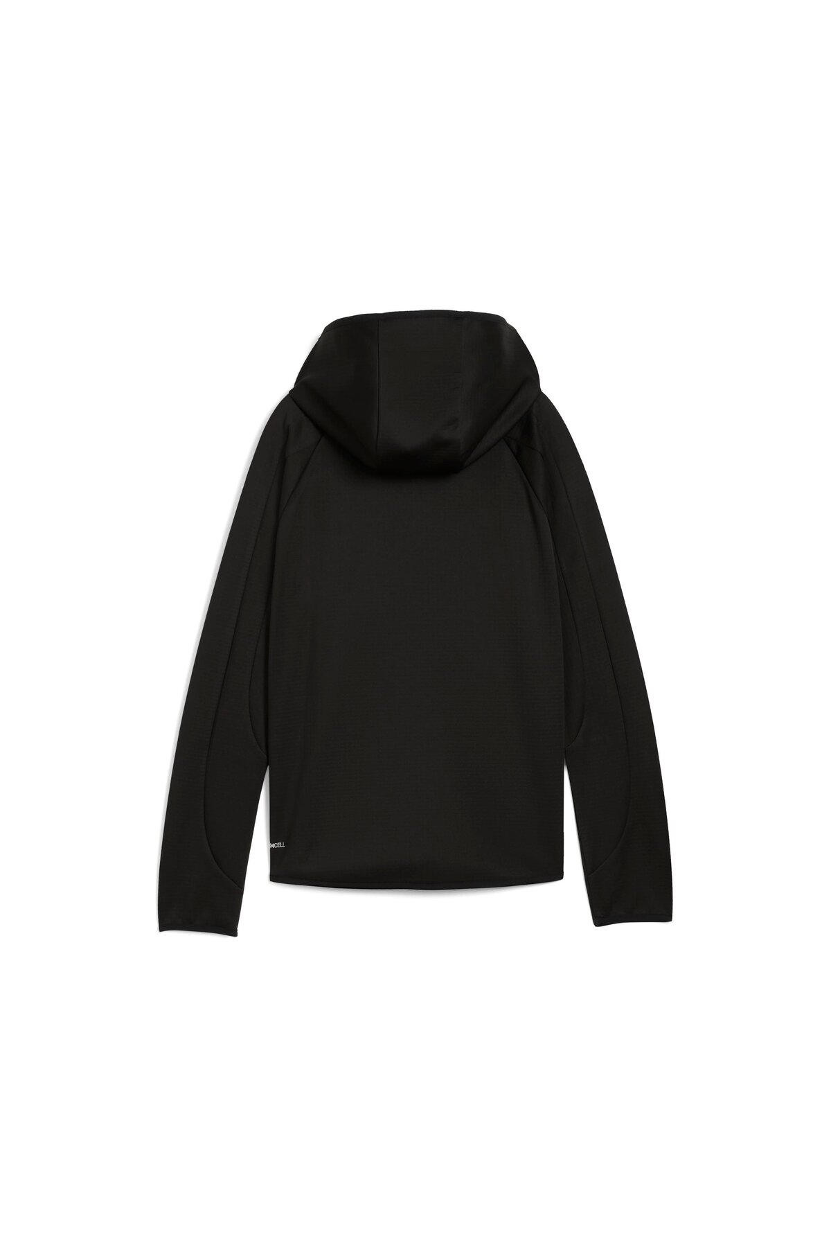 Puma Evostrıpe Full-Zip Hoodie Kadın Yetişkin Ceket görsel 2
