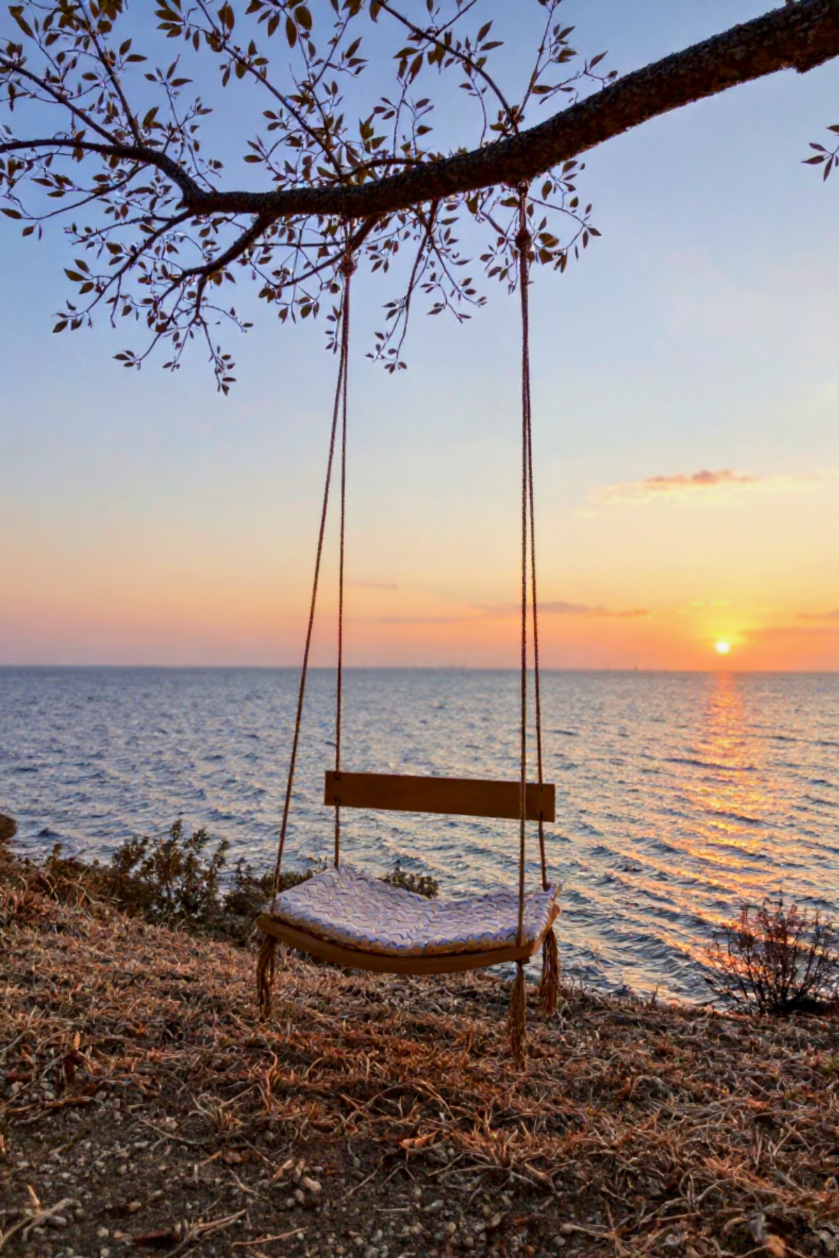 Galery Wood PREMİUM Sırt Dayanaklı Ahşap Bebek Salıncağı & Bahçe, Balkon ve Teras İçin Şık ve Konforlu Tasarım fotoğrafı 3 (önizleme)