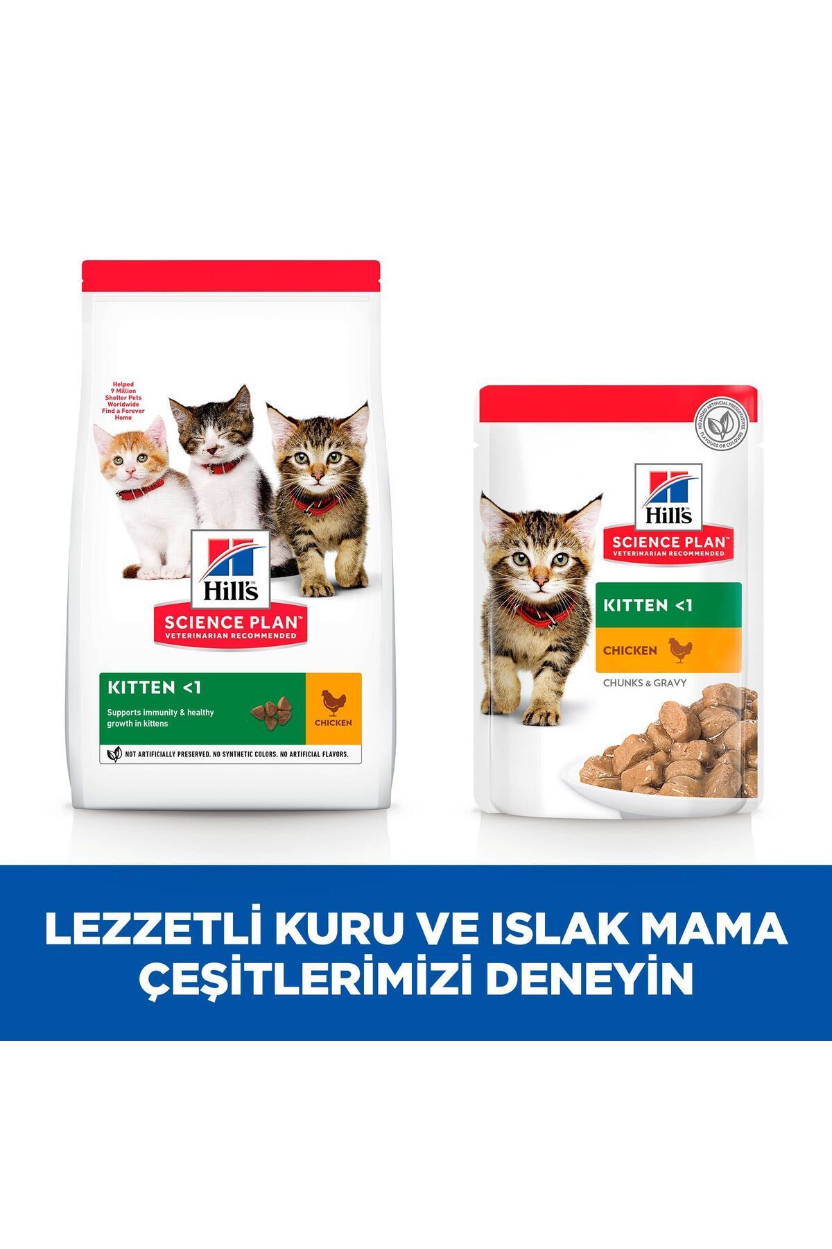 Hill's-SCIENCE PLAN Okyanus Balıklı Yavru Kedi Pouch 12X85g 8
